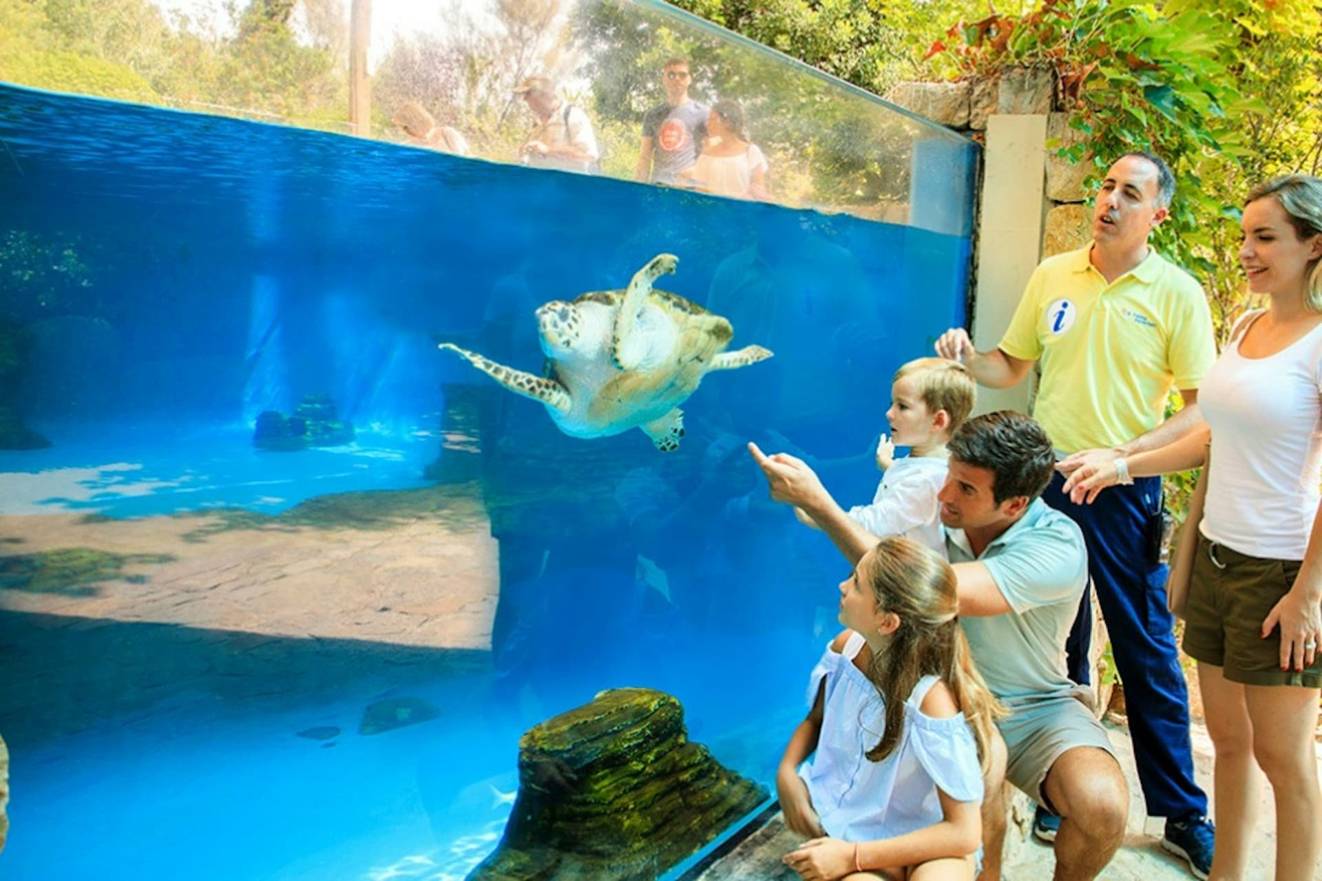 Palma Aquarium: Skip The Line Ticket + Optional 3D Cinema Aquadome - تصویر 9