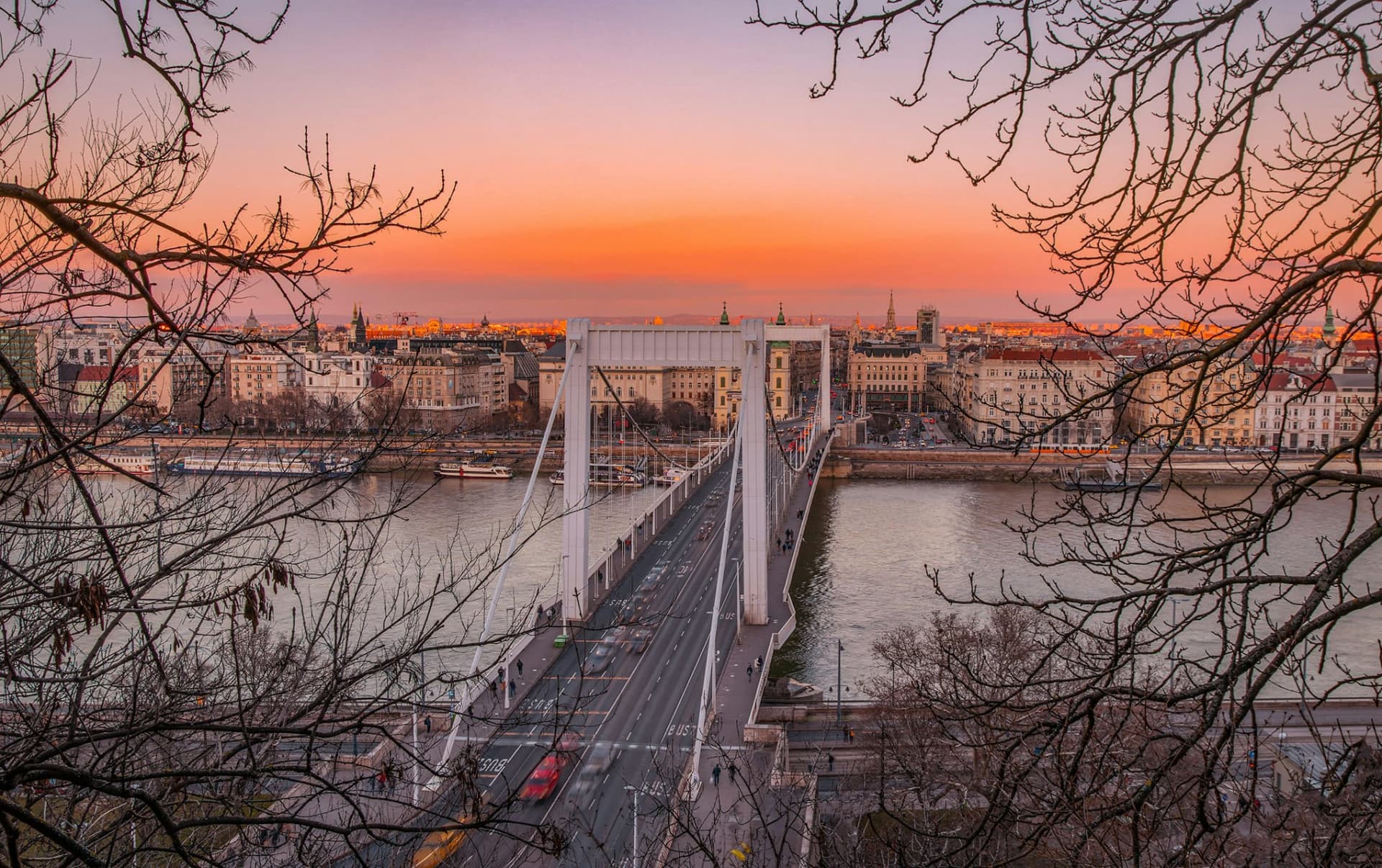 Budapest Parliament Panorama Sightseeing Cruise from Buda - تصویر 6