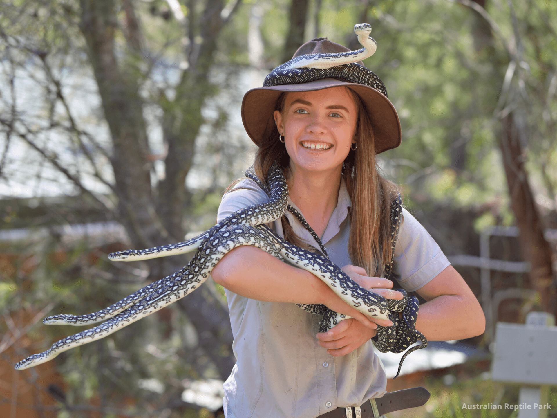 Australian Reptile Park - تصویر 5