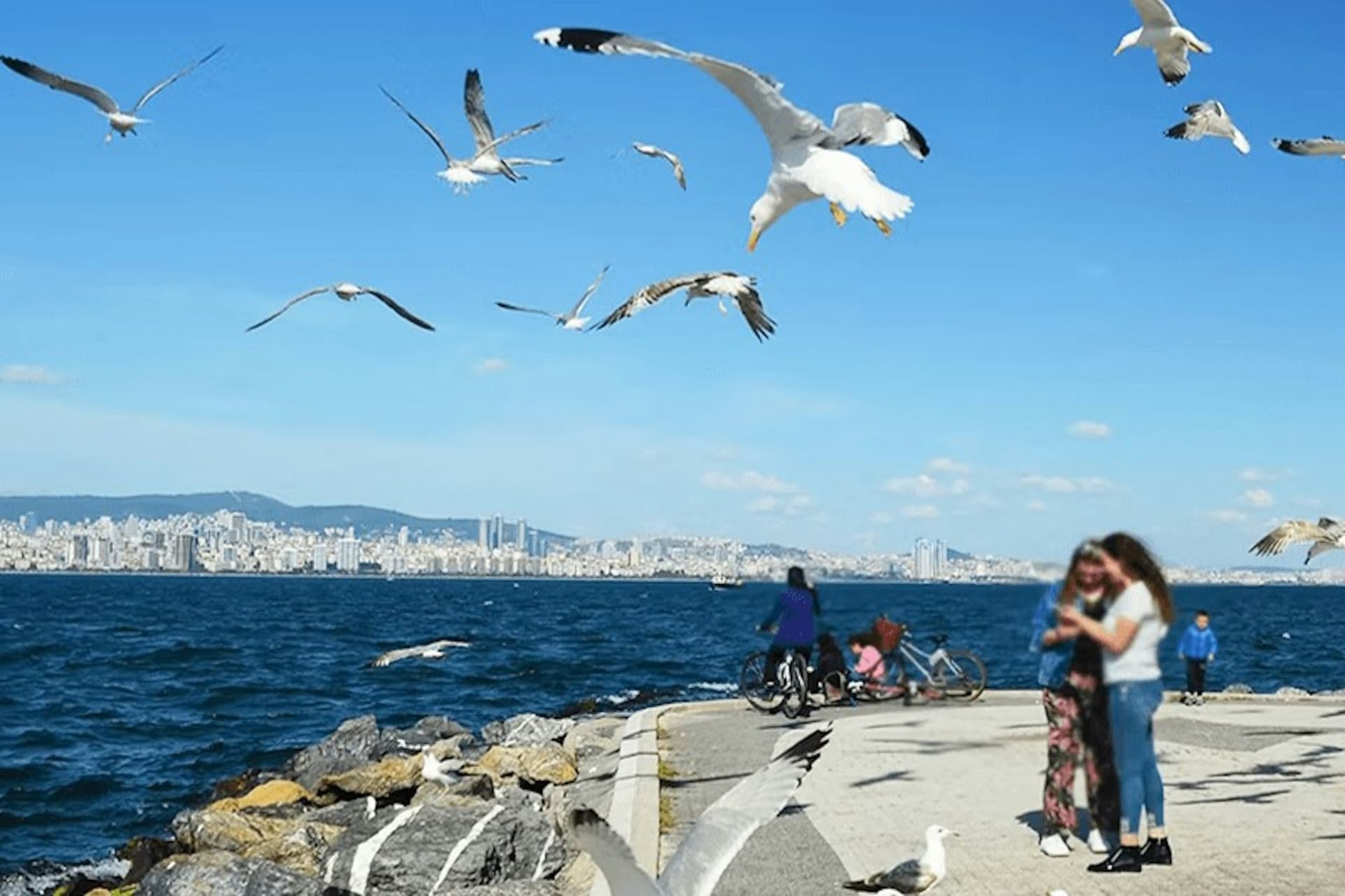Istanbul Princes' Islands Roundtrip Ferry - تصویر 2