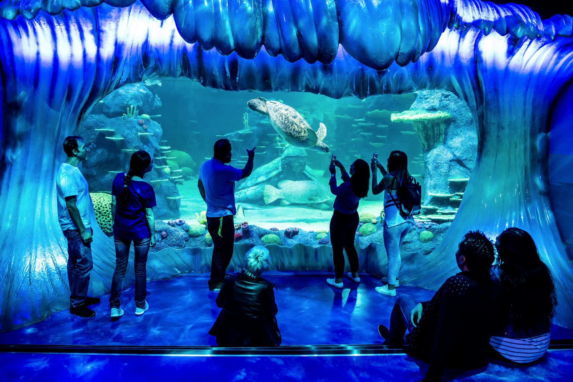 SEA LIFE Sydney Aquarium Direct Entry Ticket - تصویر 3