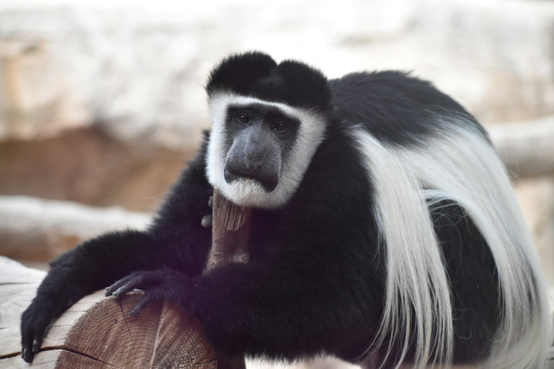 Terra Natura Murcia Ticket - تصویر 9