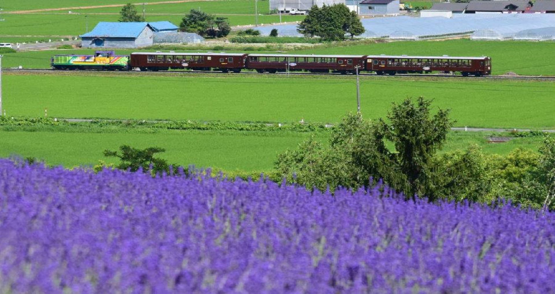 Hokkaido Rail Pass - تصویر 8