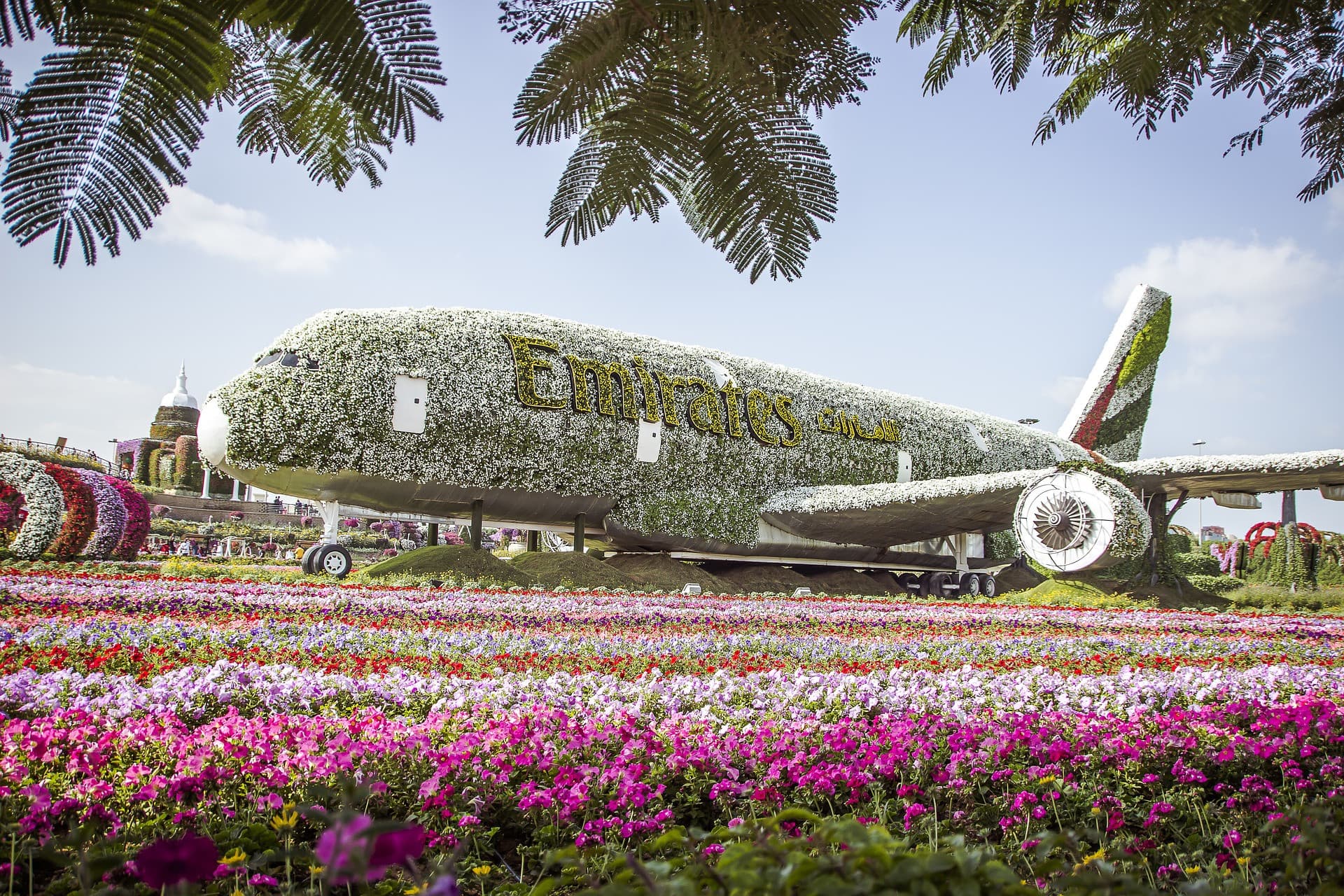 COMBO: Dubai Miracle Garden + Global Village Dubai Tickets - تصویر 3