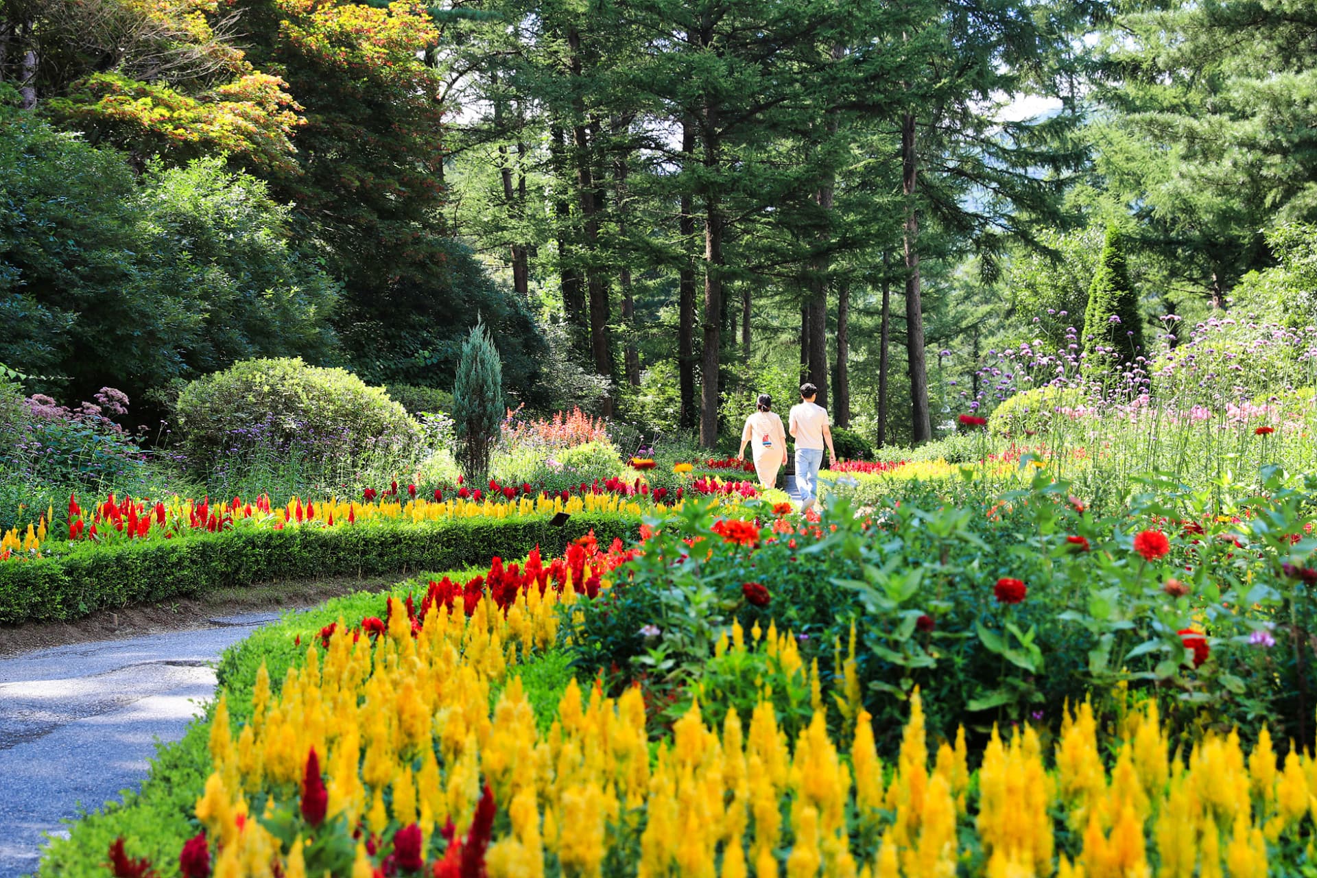 Nami Island, Mount Seorak, and Garden of Morning Calm Full-Day Tour from Seoul - تصویر 29