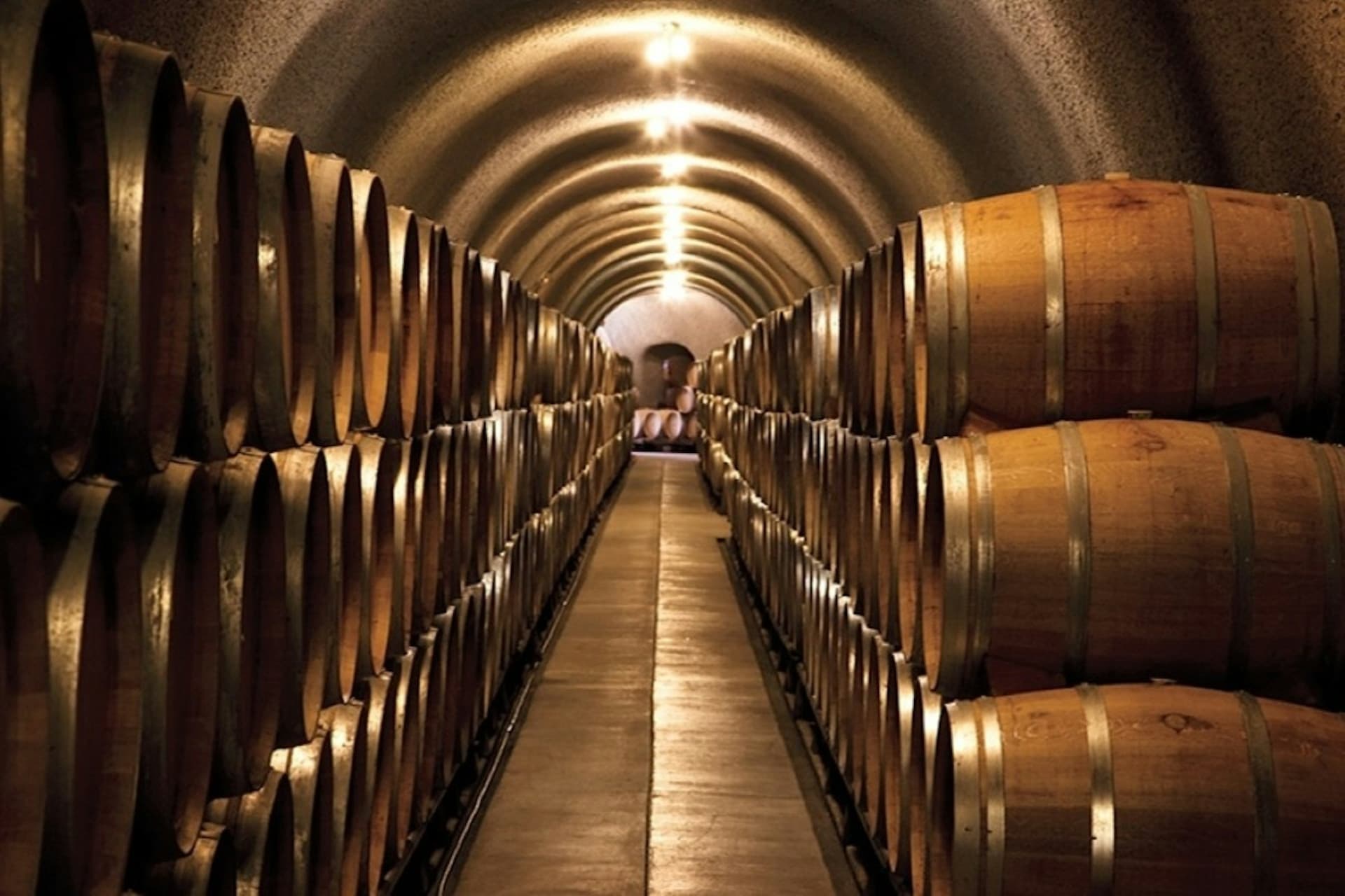 From San Francisco: Full Day Napa Valley Wine Tasting Tour - تصویر اصلی