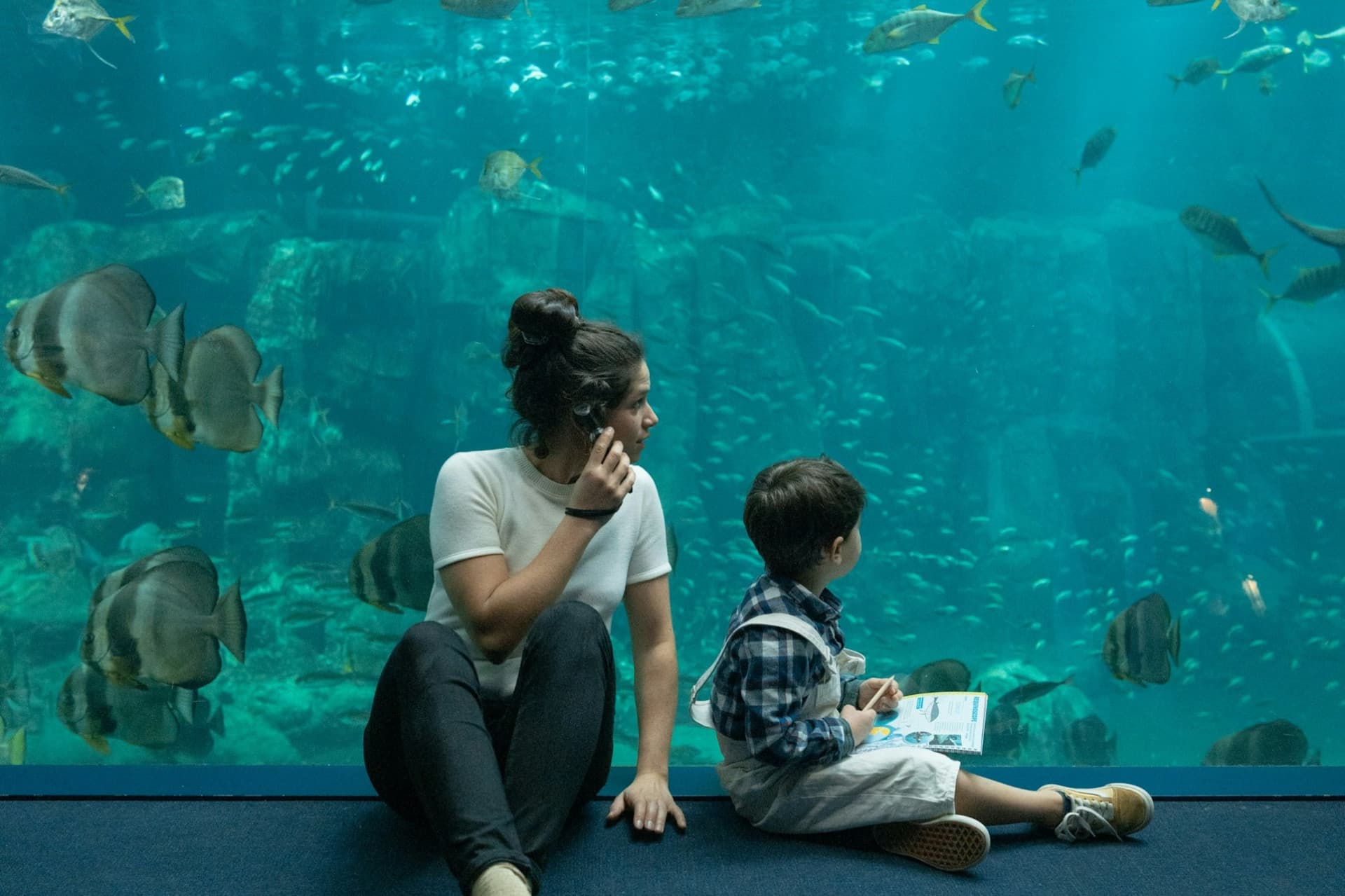 Nausicaa: Skip The Line Ticket - تصویر 7
