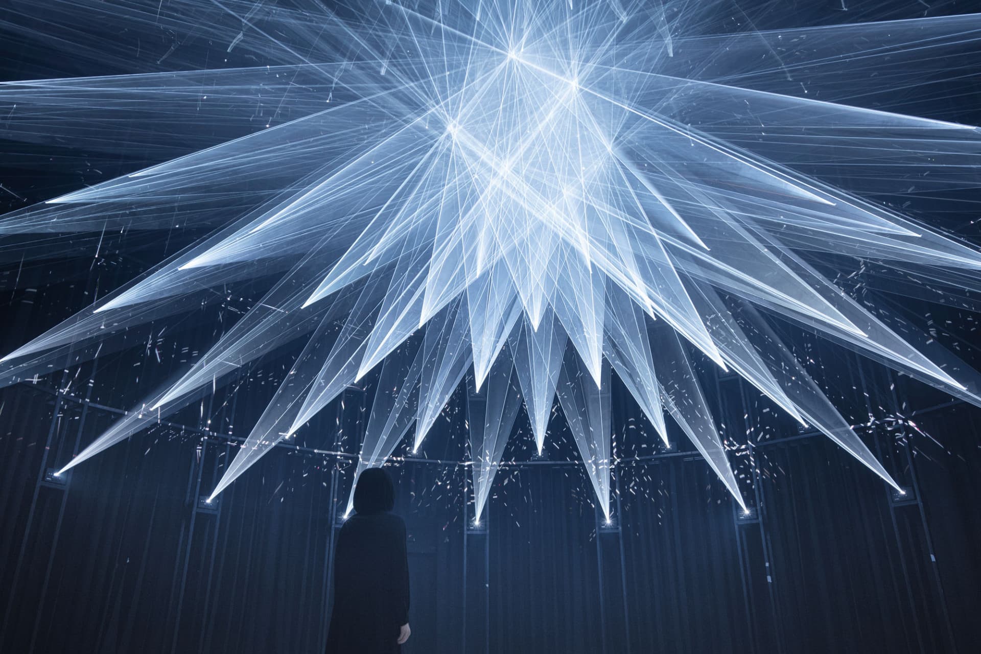 teamLab SuperNature Macao 3D Interactive Exhibition Ticket - تصویر 6