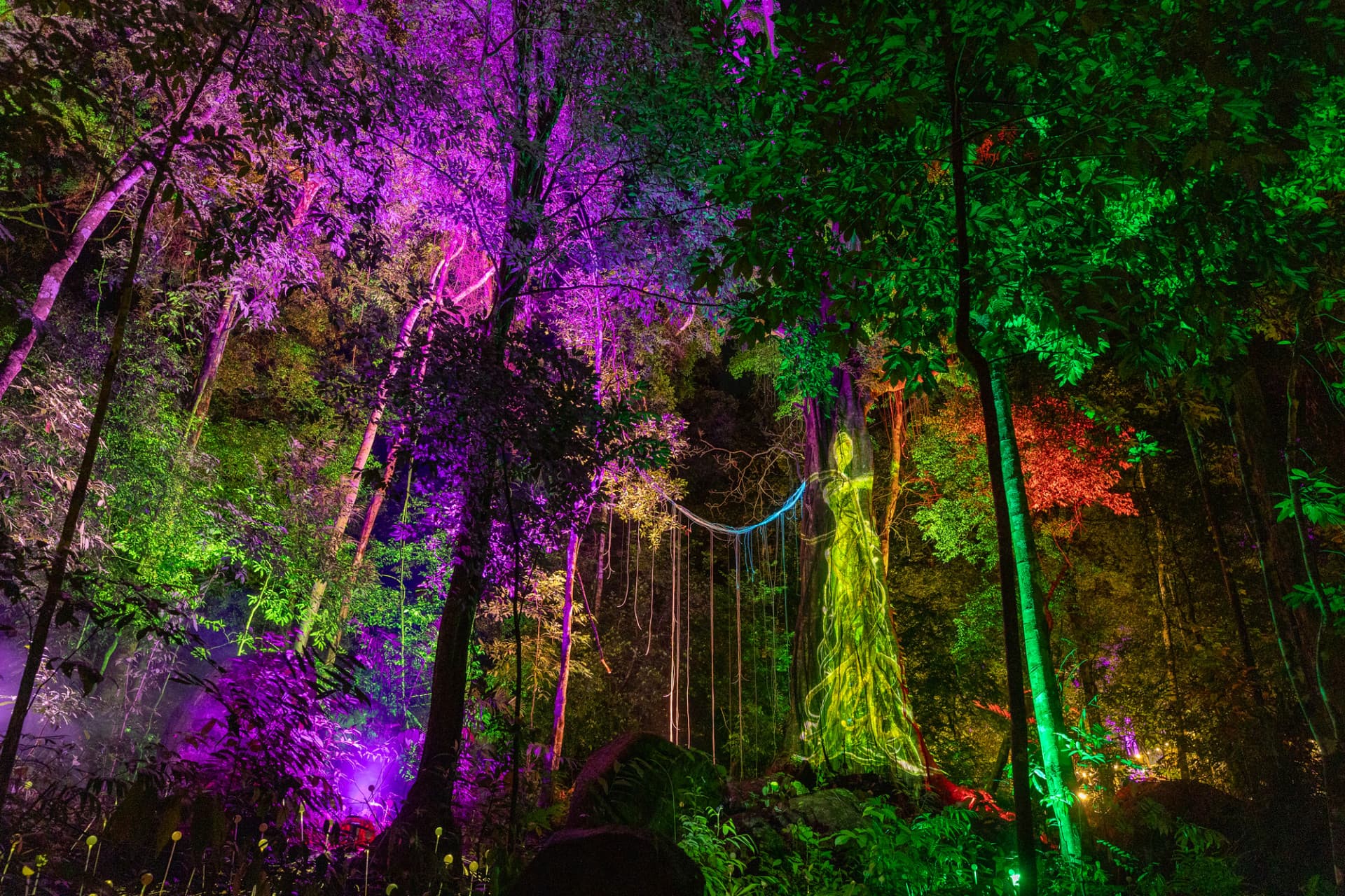 Dream Forest Langkawi - تصویر 3