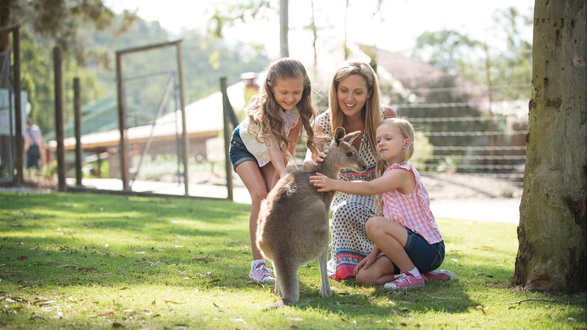 Paradise Country Farm Ticket - تصویر 4