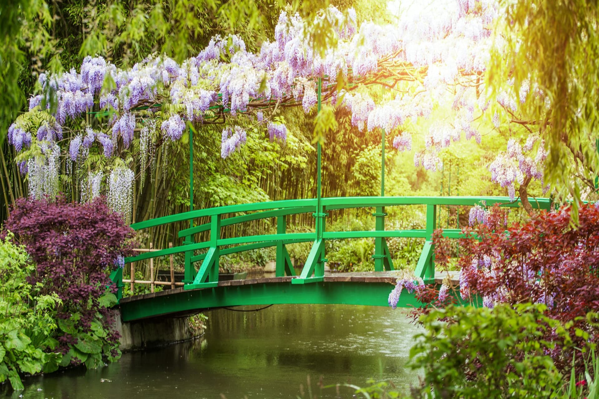 Giverny: Impressionist Day Trip from Paris with Audio Guide - تصویر 11