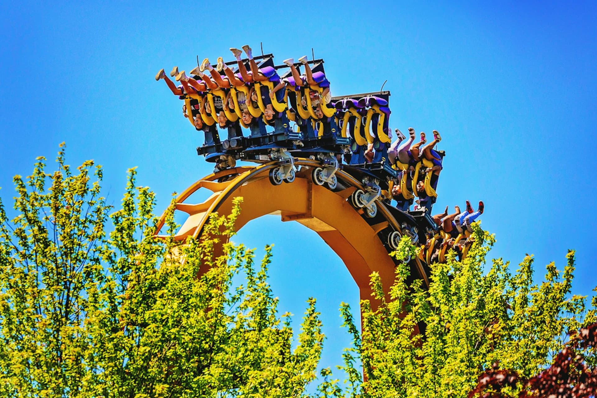 Six Flags Great America Ticket - تصویر 3