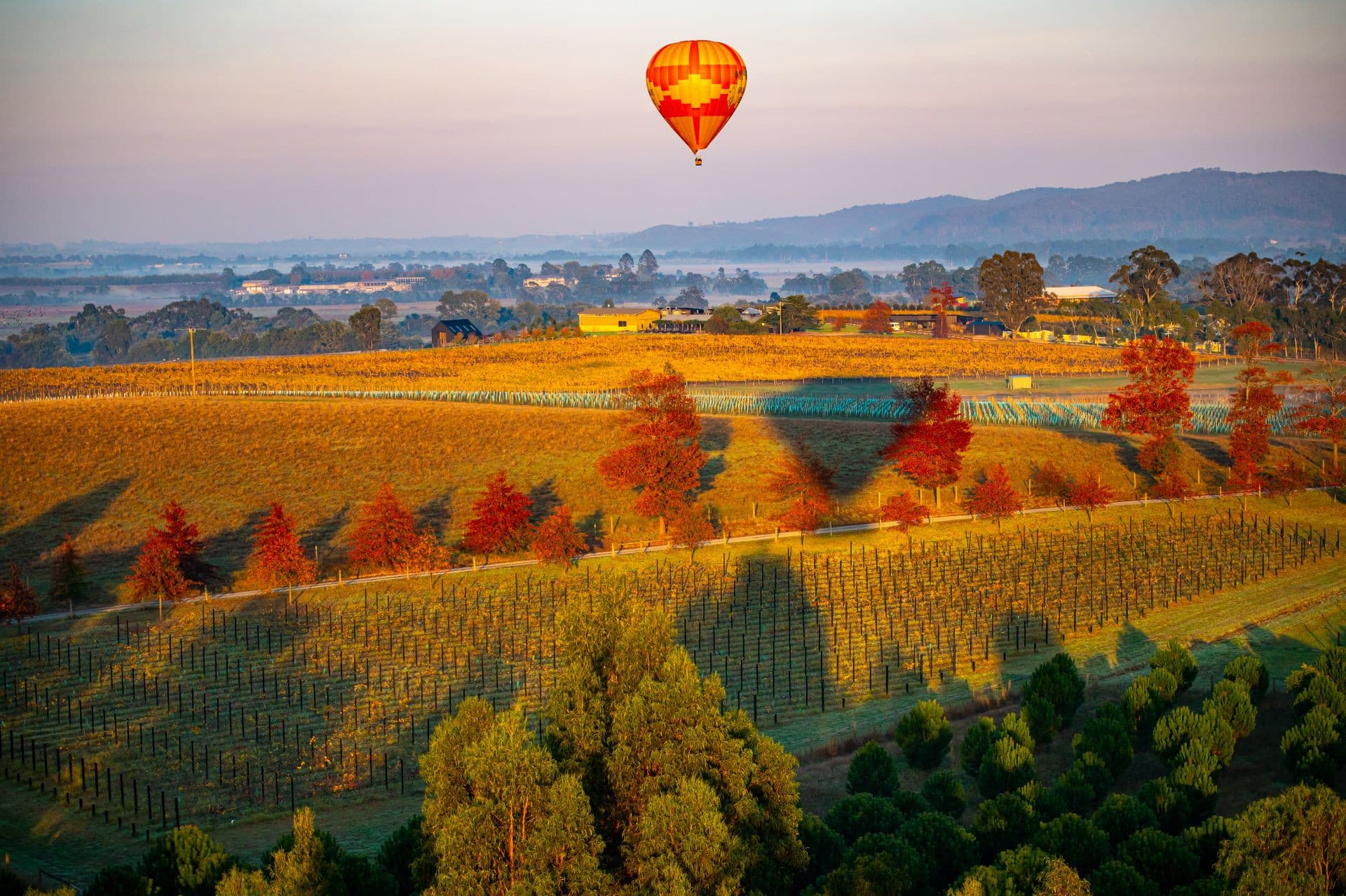 Sunrise Hot Air Balloon Flight over Yarra Valley with Photos - تصویر 2