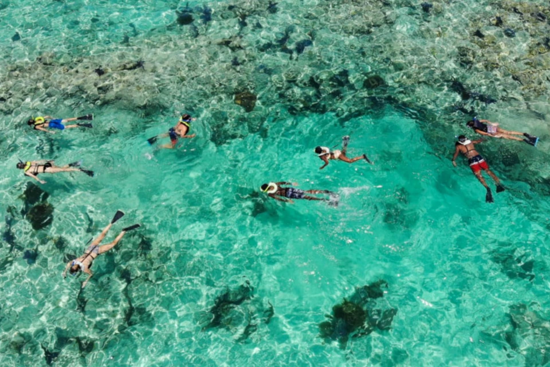 Day Trip to Key West from Miami with Optional Activities - تصویر 15