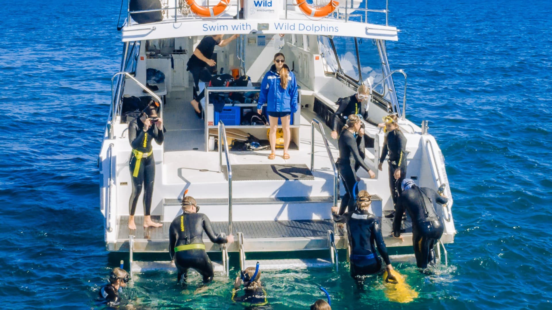 Swim with Wild Dolphins Experience at Rockingham - تصویر 3