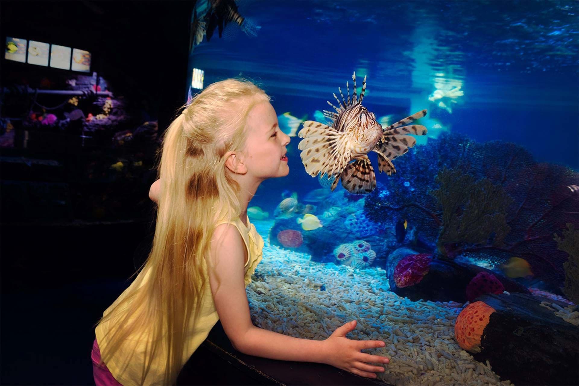 SEA LIFE London Aquarium Ticket - تصویر 15