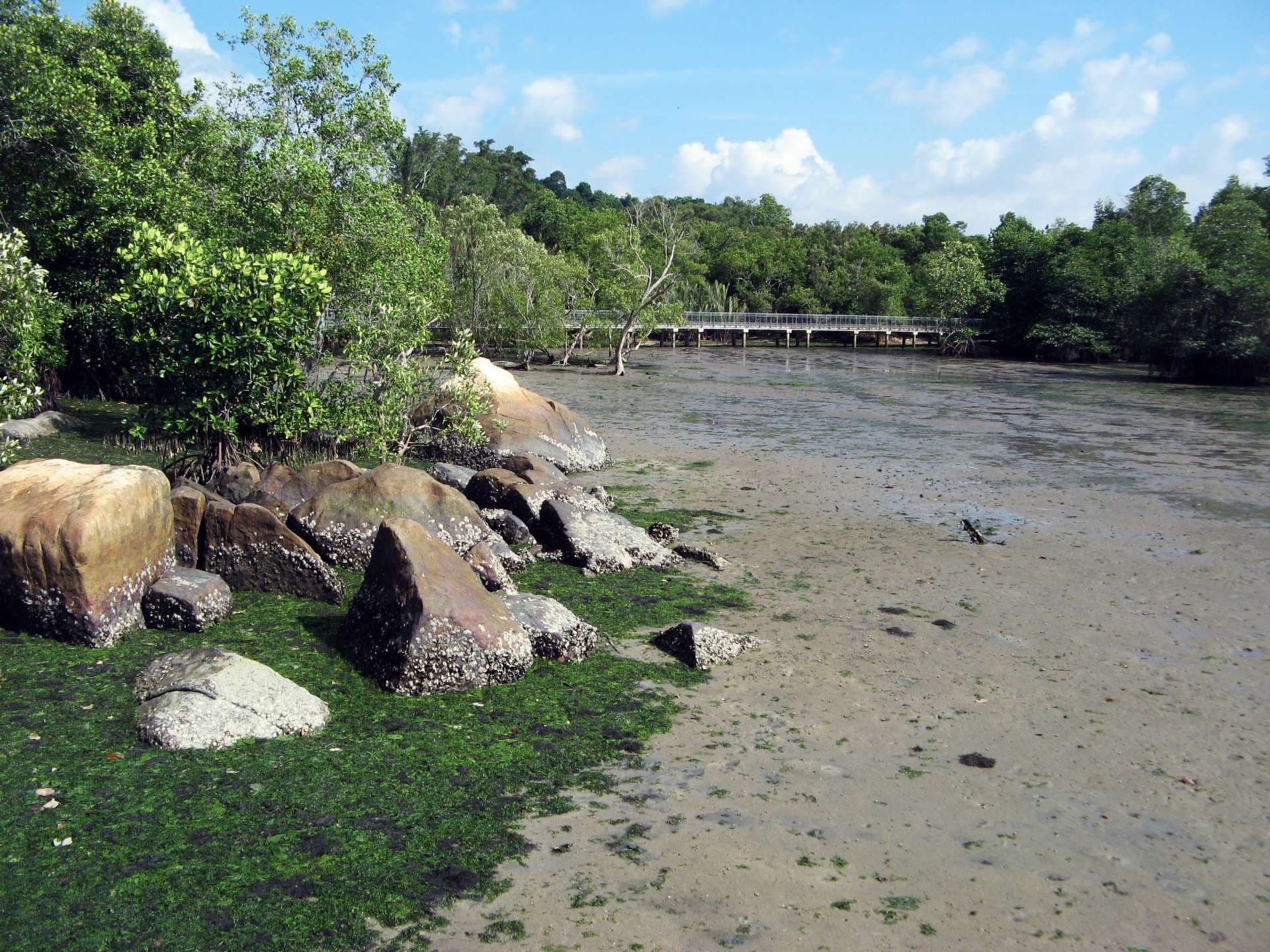 Pulau Ubin Cycling Tour - تصویر 5