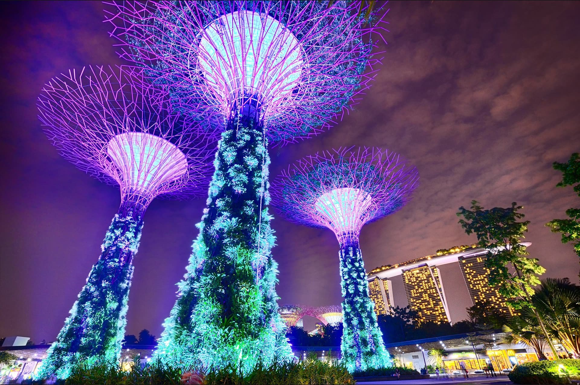 COMBO: Singapore Cable Car + Gardens by the Bay Ticket - تصویر 10