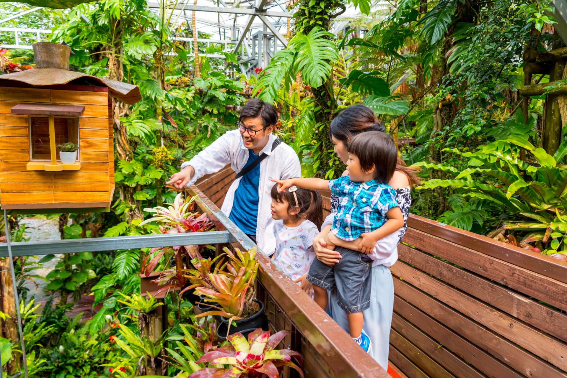 Okinawa Nago Pineapple Park - تصویر 8