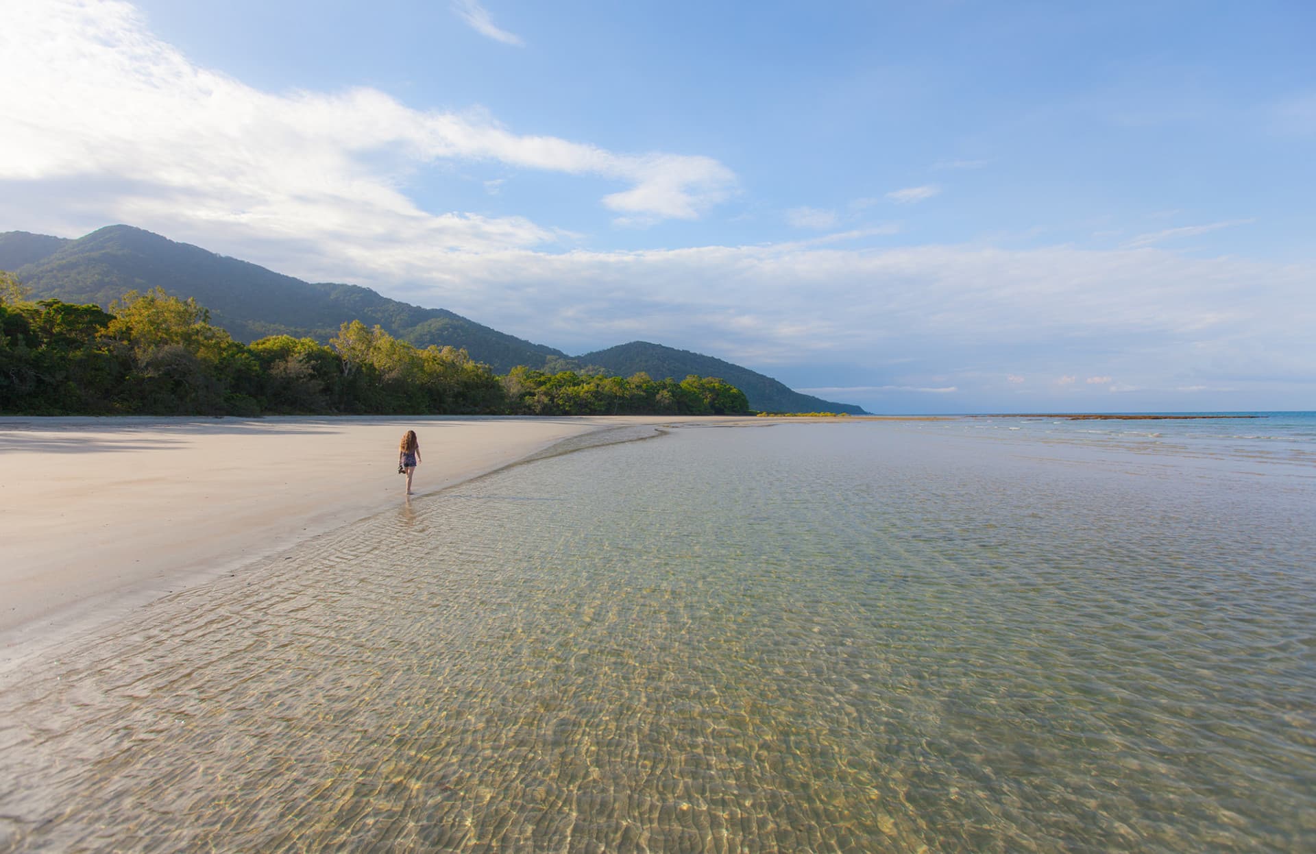 Cape Tribulation and Daintree Wilderness Full-Day Tour - تصویر 2