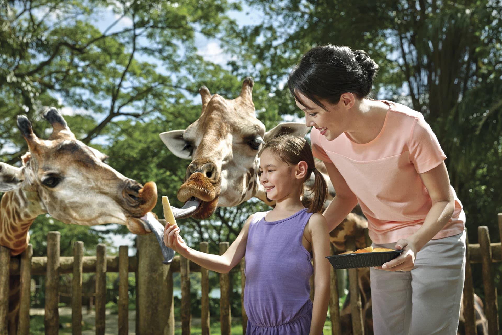 Go City Singapore Explorer Pass: Save up to 50% on Attractions - تصویر 3