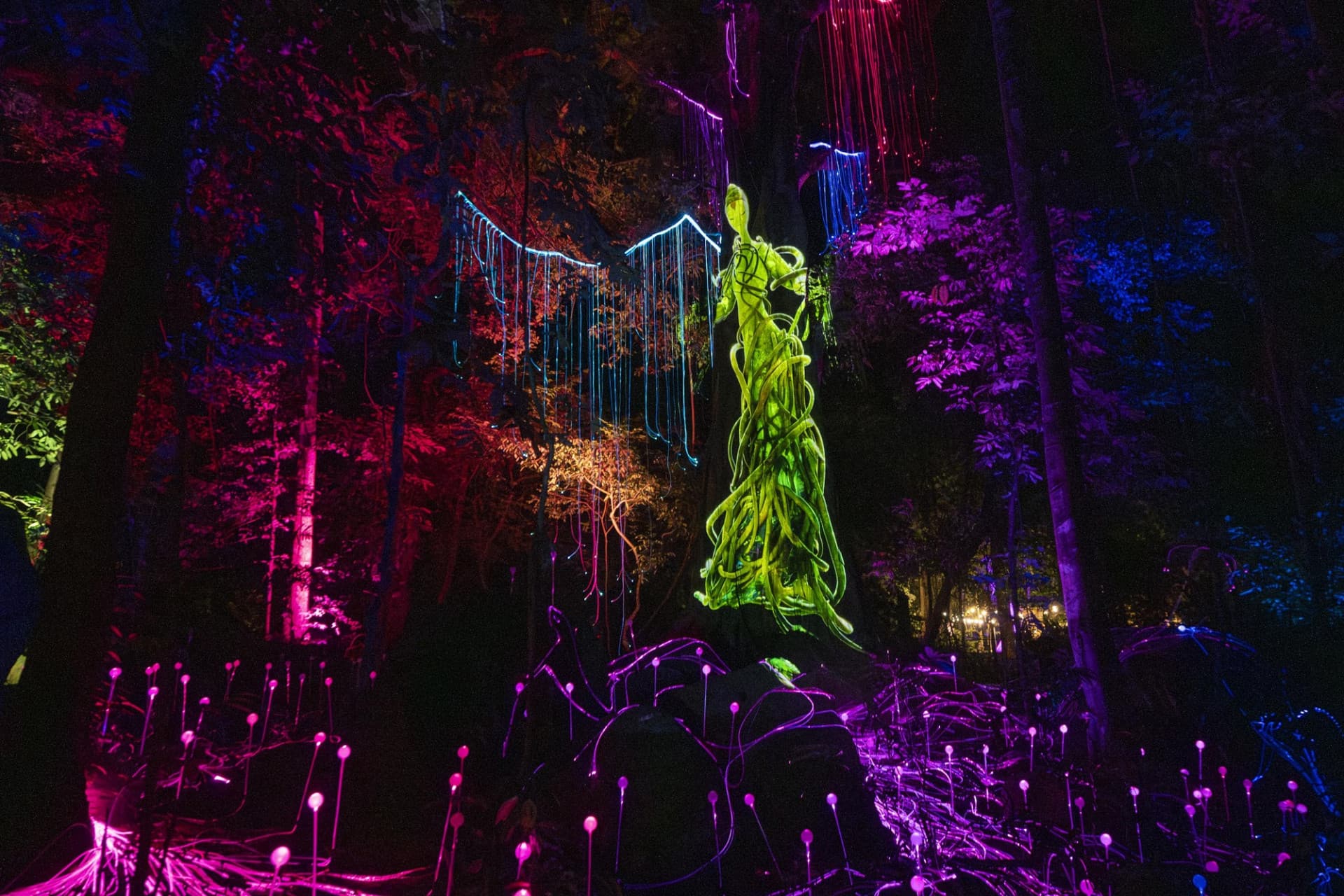 Dream Forest Langkawi - تصویر اصلی