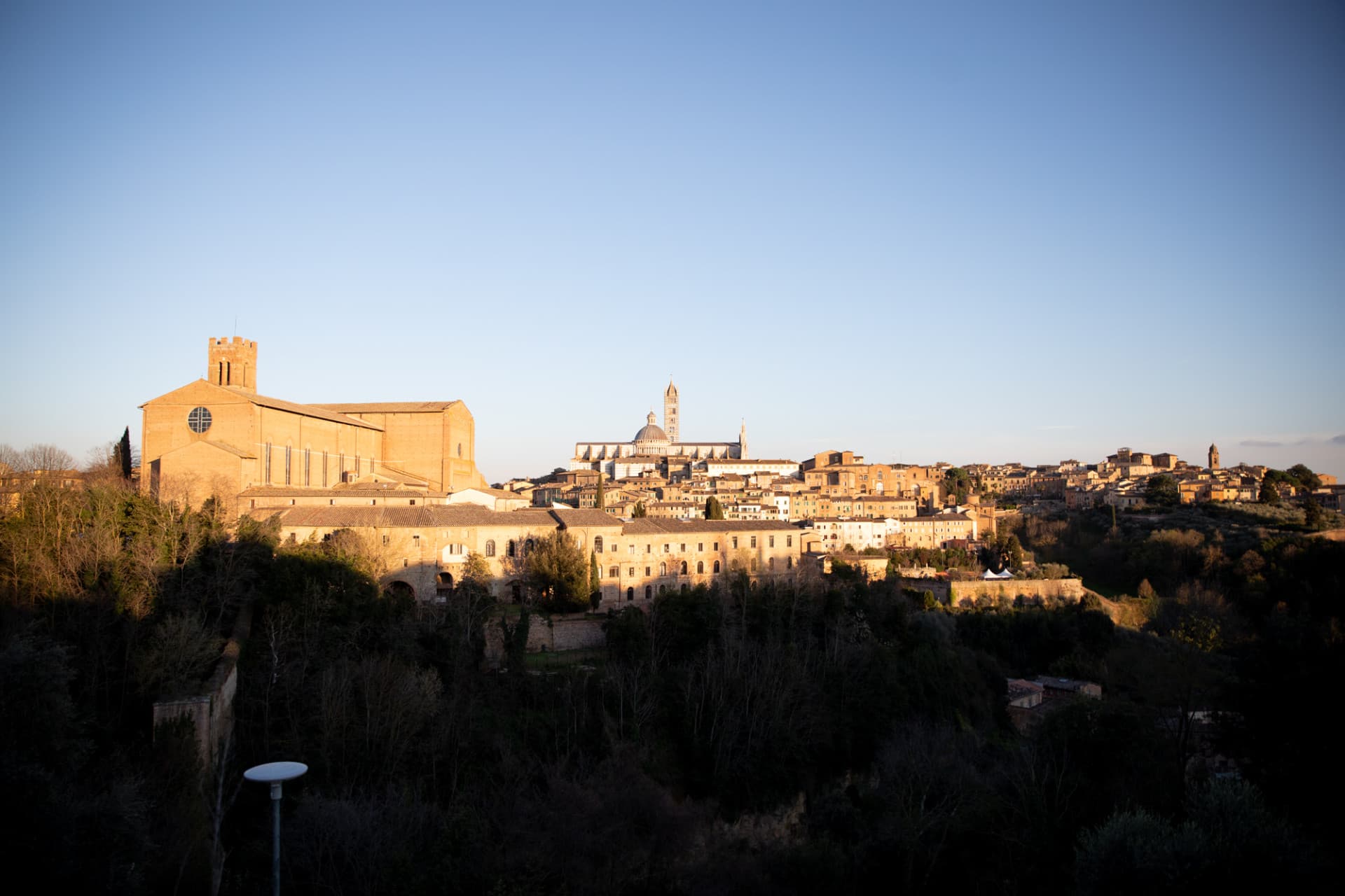 Tuscany Full-Day Tour from Florence: Pisa, Chianti, San Gimignano, Siena - تصویر 13