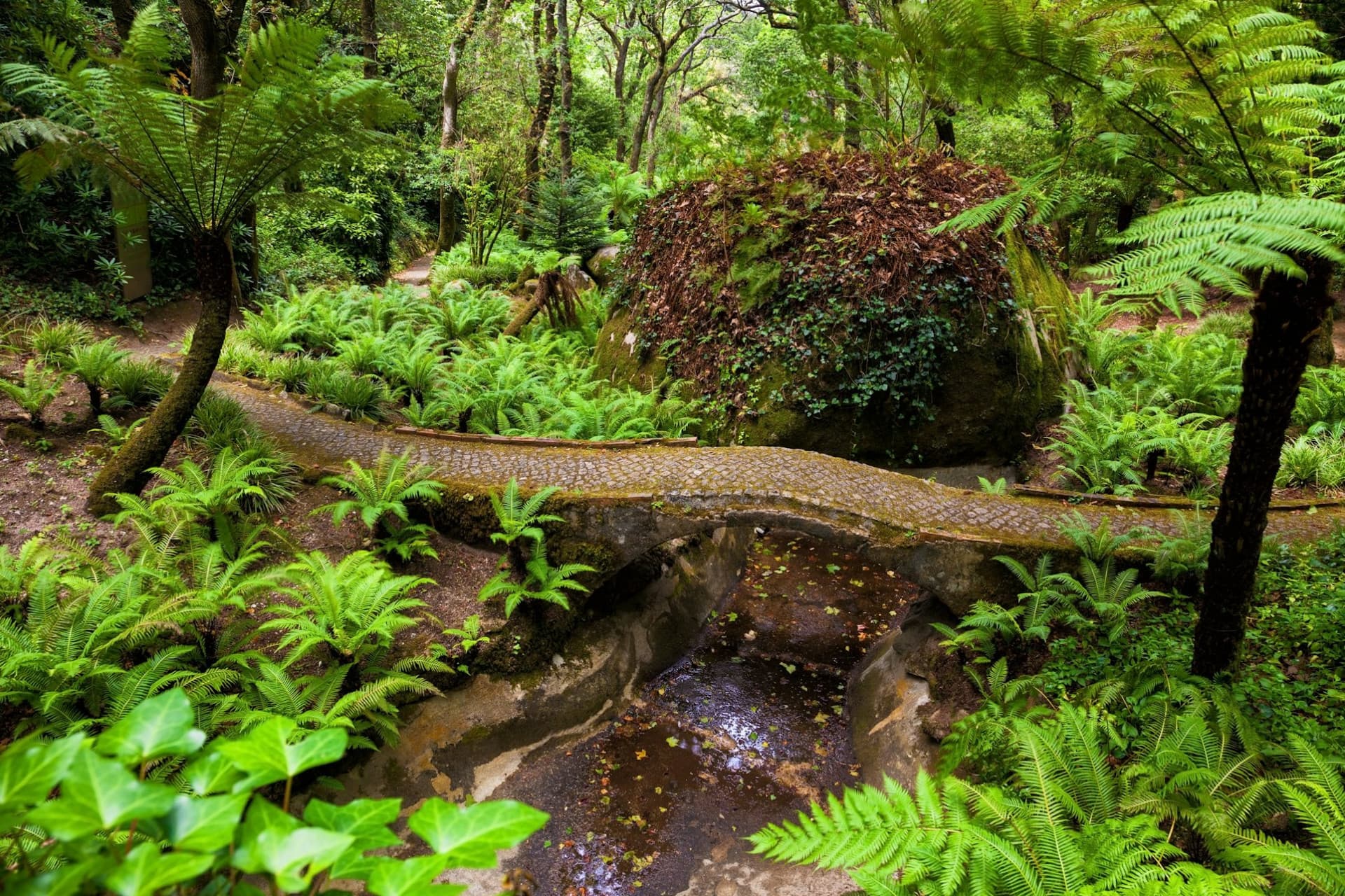 Pena Park in Sintra Ticket - تصویر 3