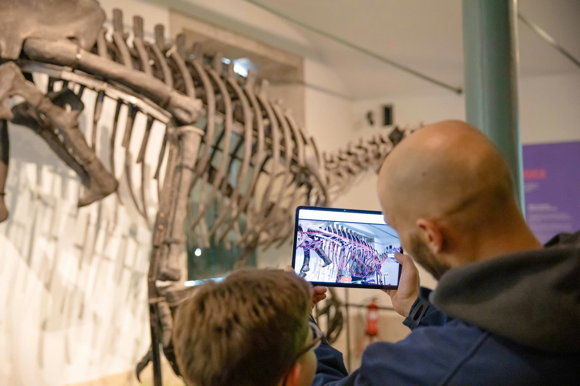 Dino Experience Porto Ticket - تصویر 9