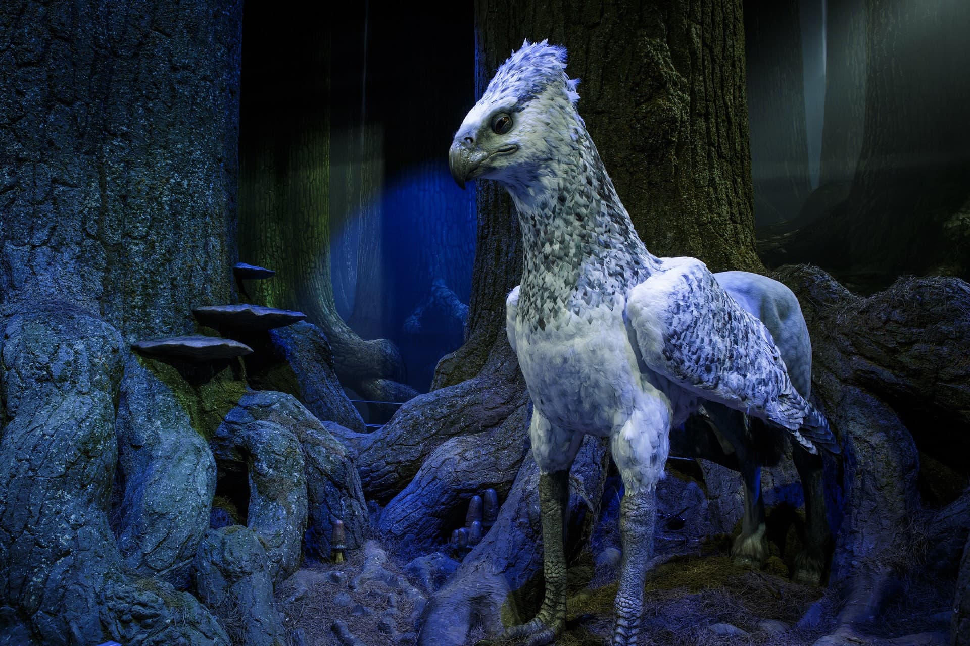 Warner Bros. Studio Tour London - The Making of Harry Potter Ticket with Round Trip Transfer - تصویر 7