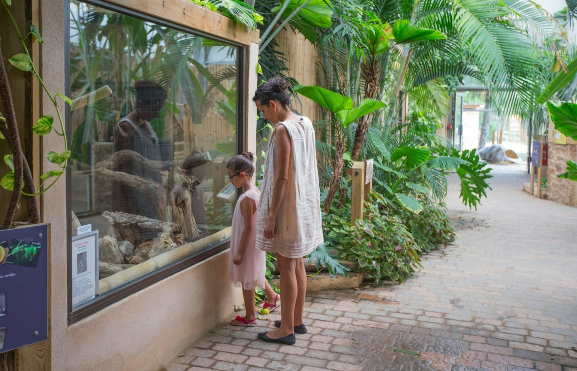 Safari de Peaugres: Entry Ticket - تصویر 5