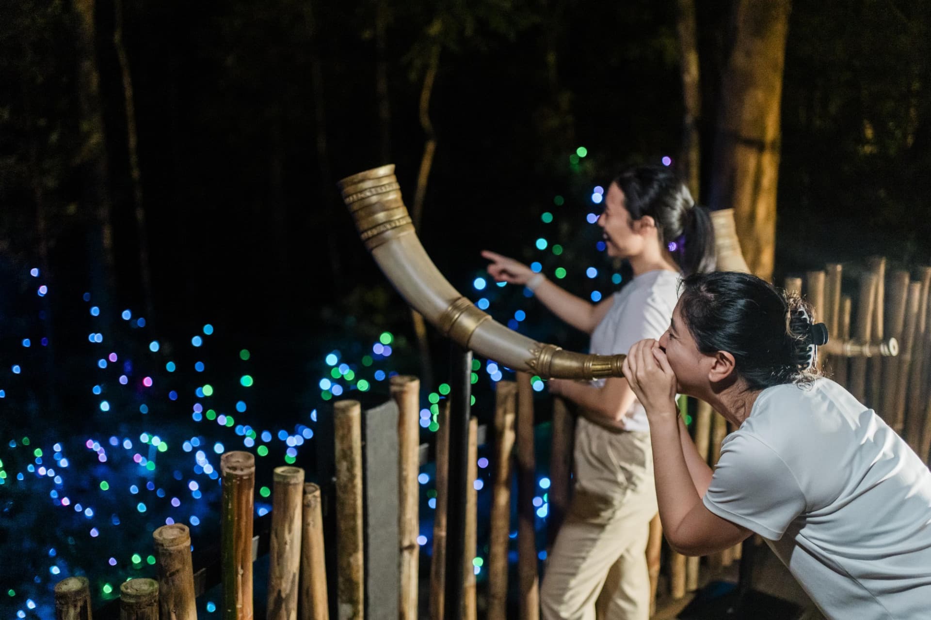 Dream Forest Langkawi - تصویر 6