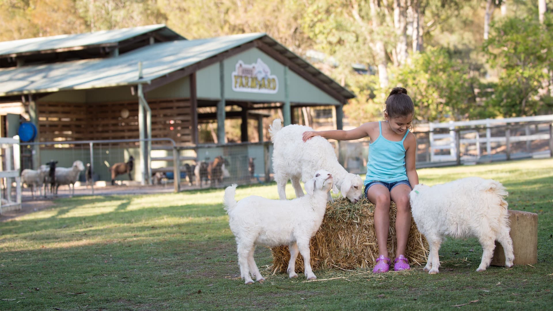 Paradise Country Farm Ticket - تصویر 5
