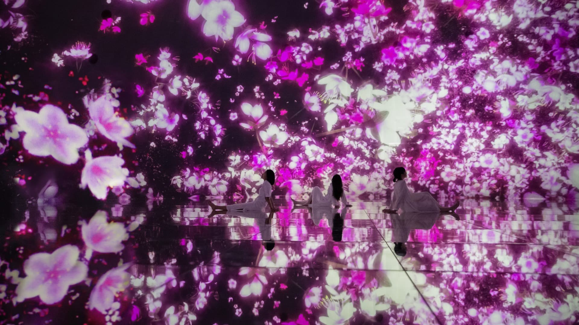 teamLab Planets TOKYO Ticket - تصویر اصلی