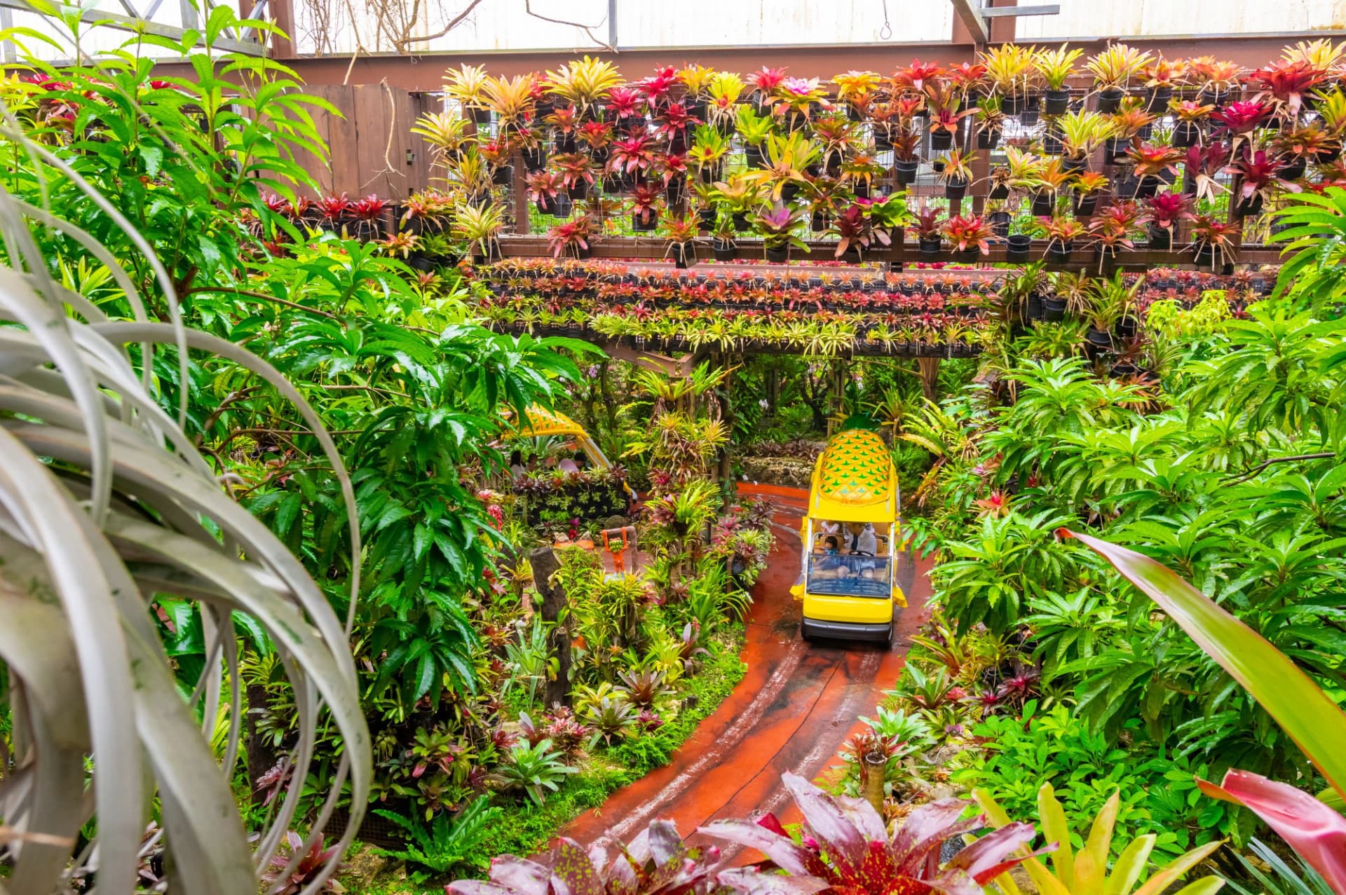 Okinawa Nago Pineapple Park - تصویر 3