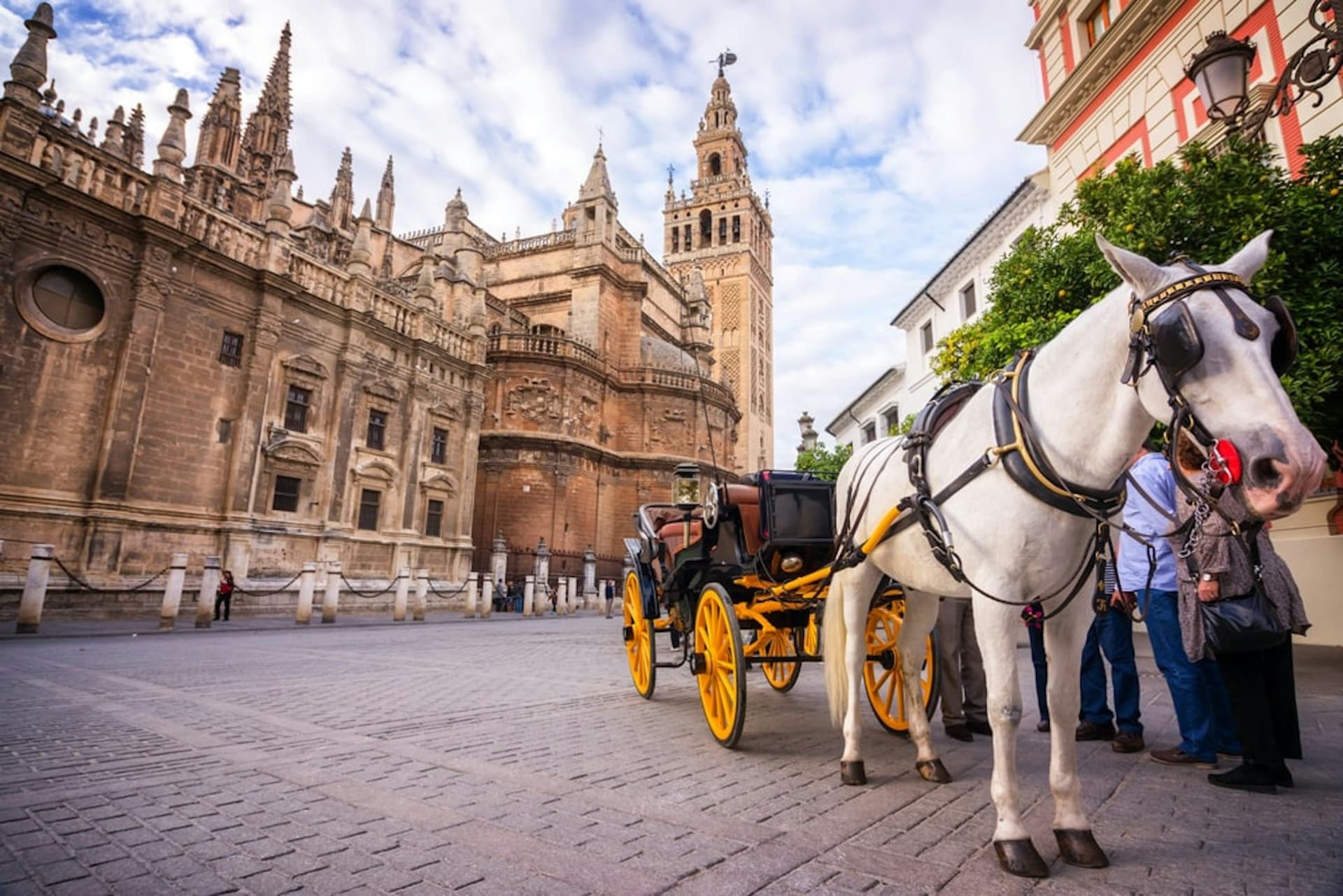 Seville Self-Guided City Tour App - تصویر اصلی