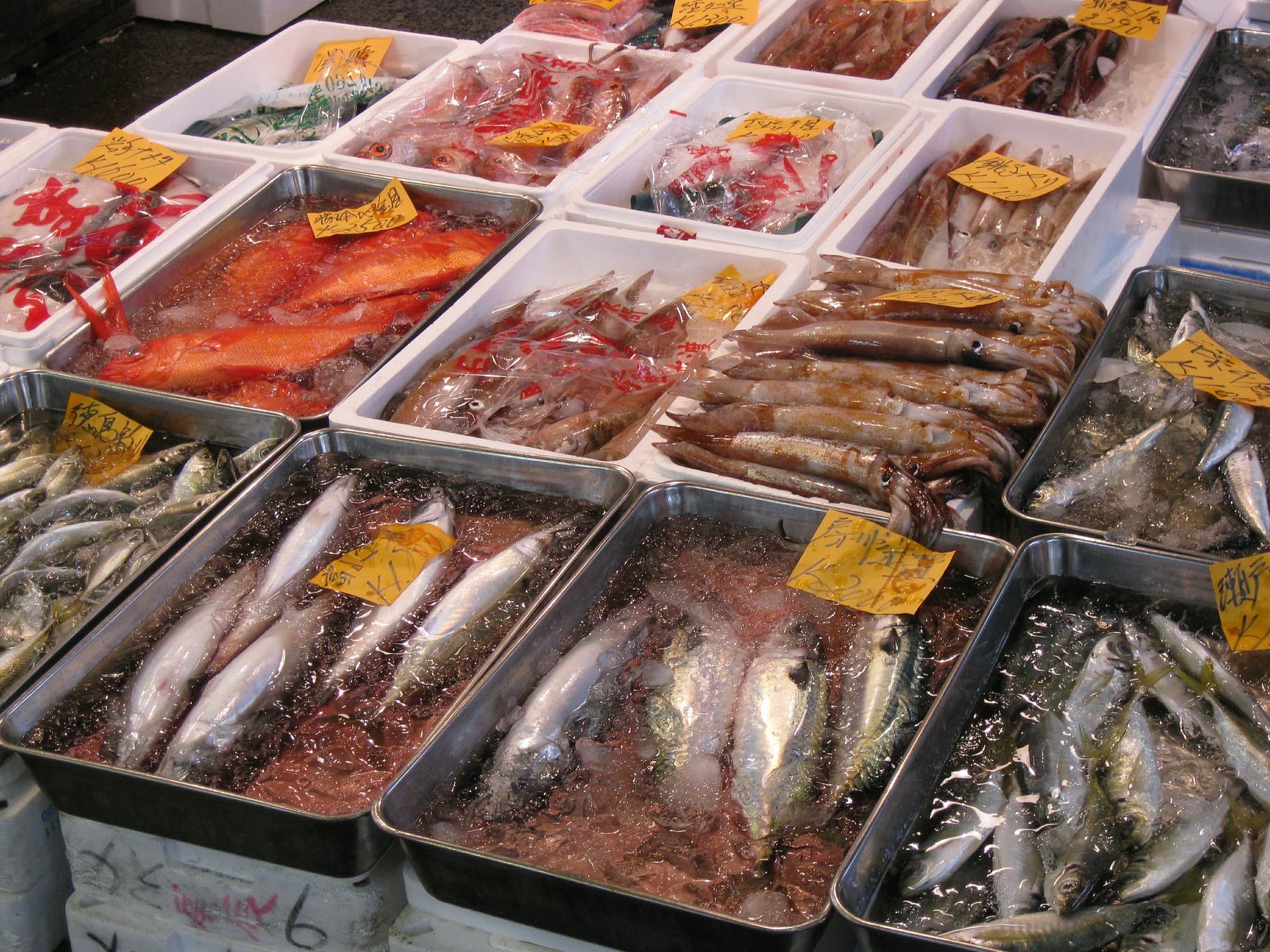 Tsukiji Outer Market Breakfast Tour - تصویر 2