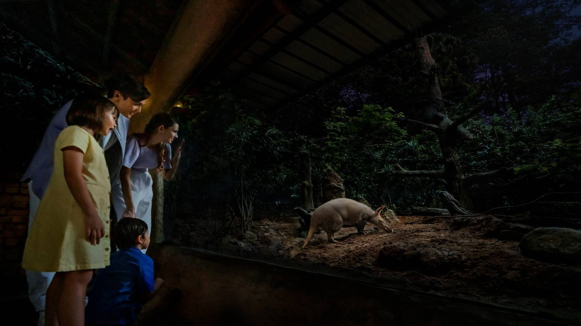 Singapore Night Safari Ticket - تصویر 5