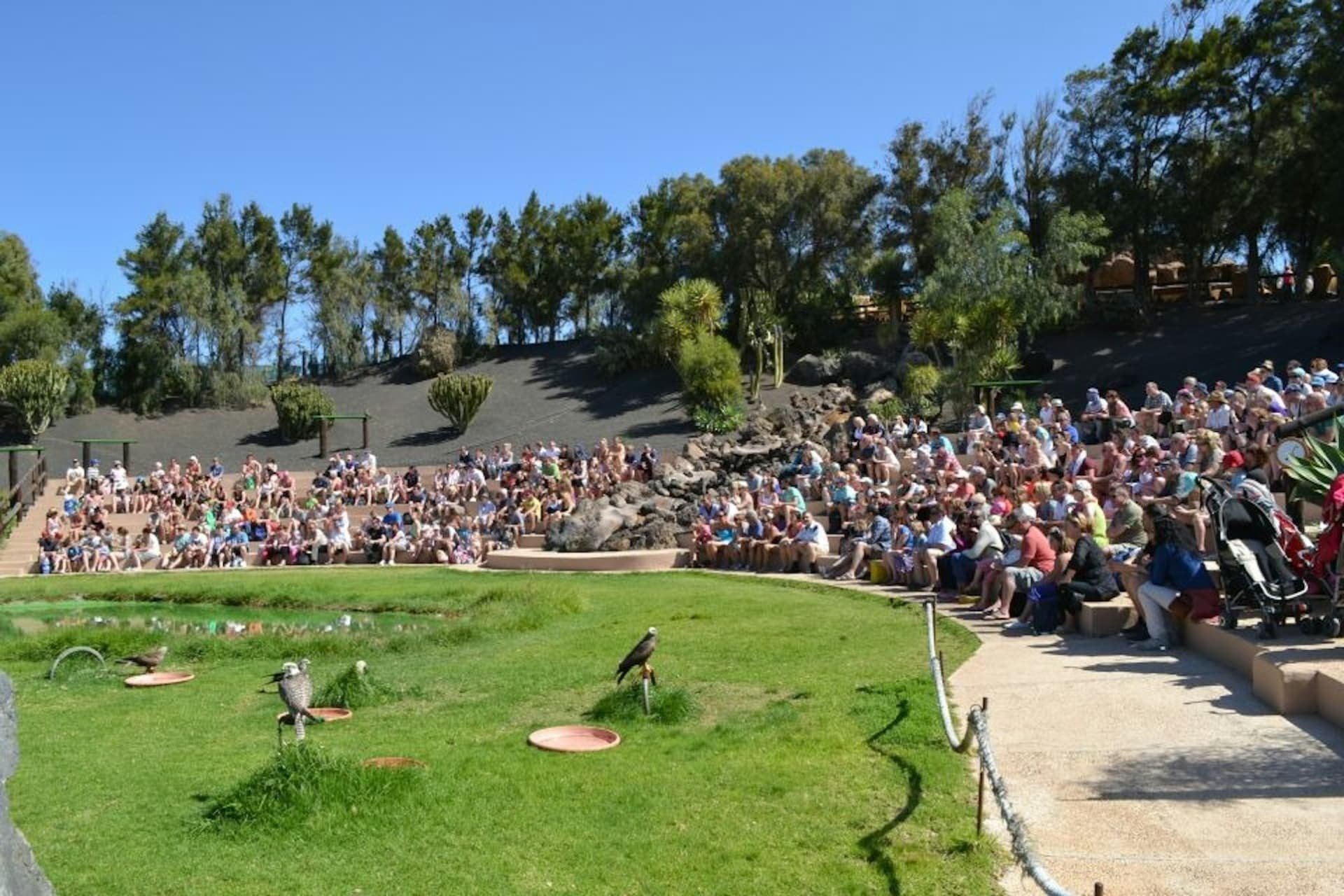 Rancho Texas Lanzarote Park Ticket - تصویر 7