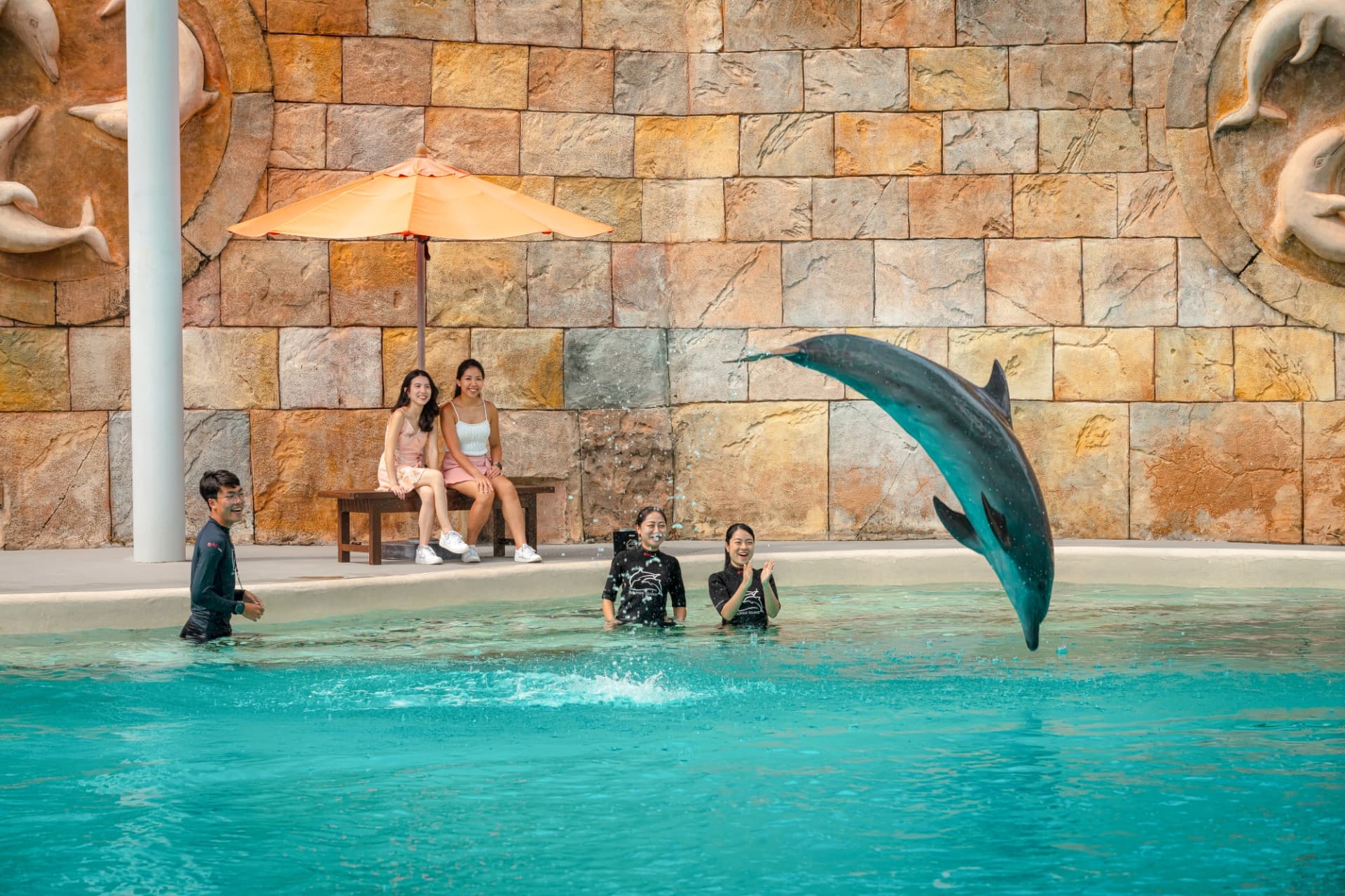 Dolphin Experiences at Marine Mammal Habitat Sentosa - تصویر 6