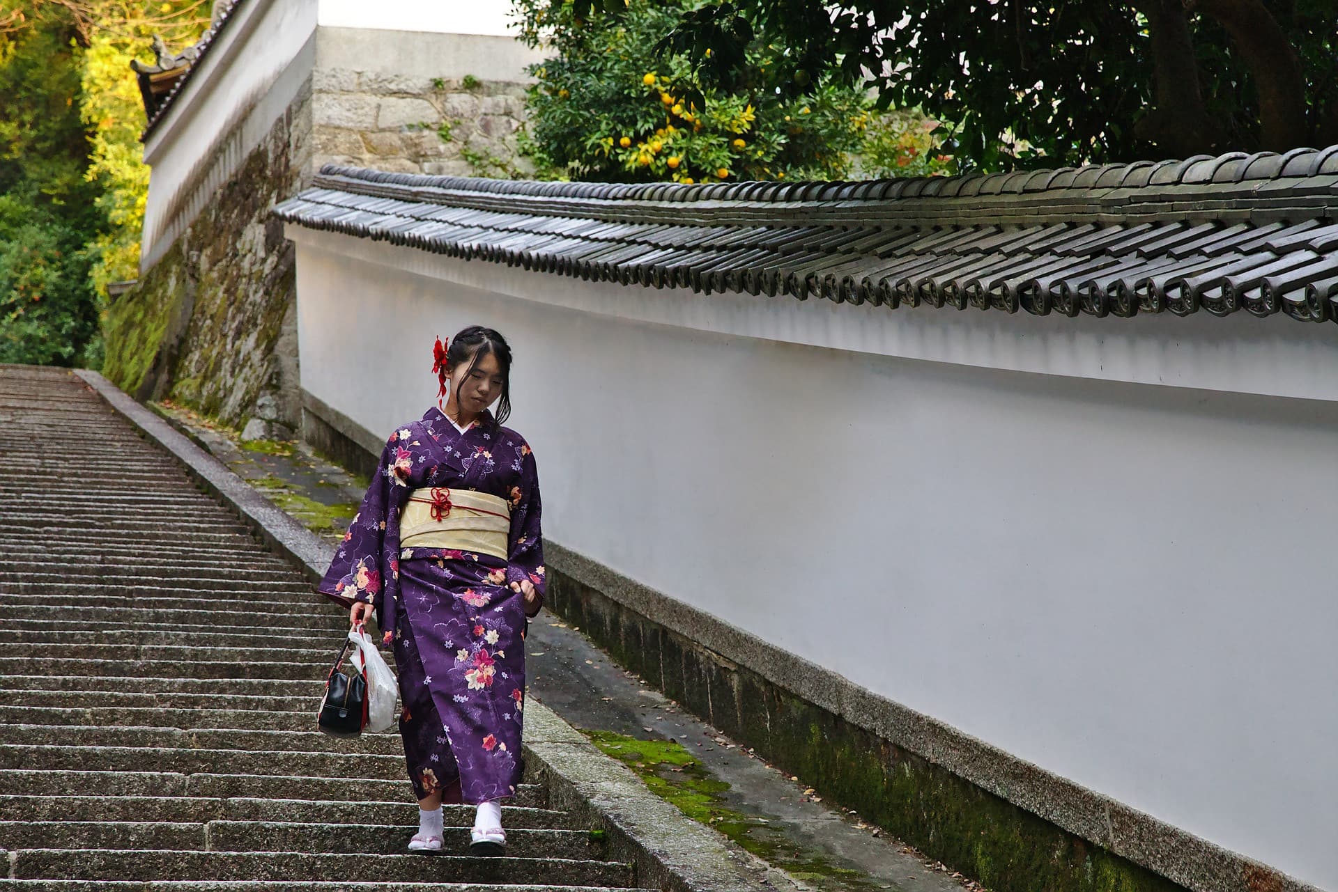 Kyoto-Osaka Sightseeing Pass - تصویر 9
