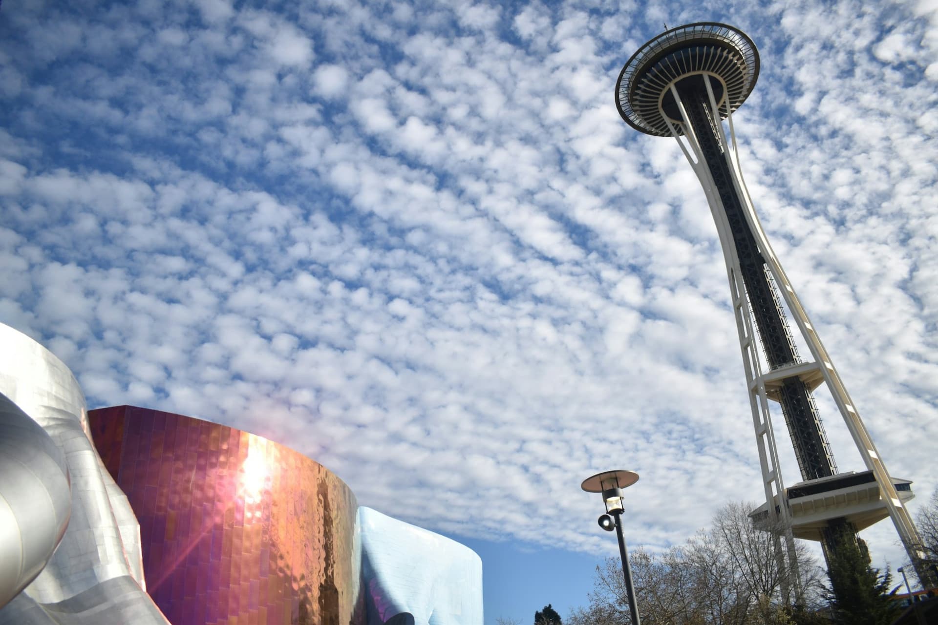Seattle Center & Space Needle: Guided Walking Tour - تصویر اصلی