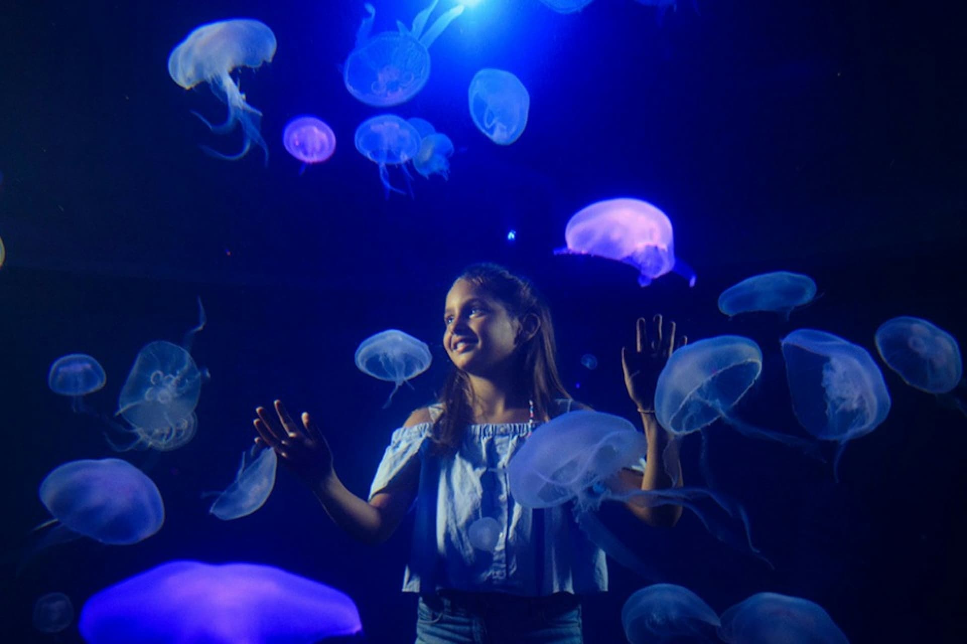 Palma Aquarium: Skip The Line Ticket + Optional 3D Cinema Aquadome - تصویر 2