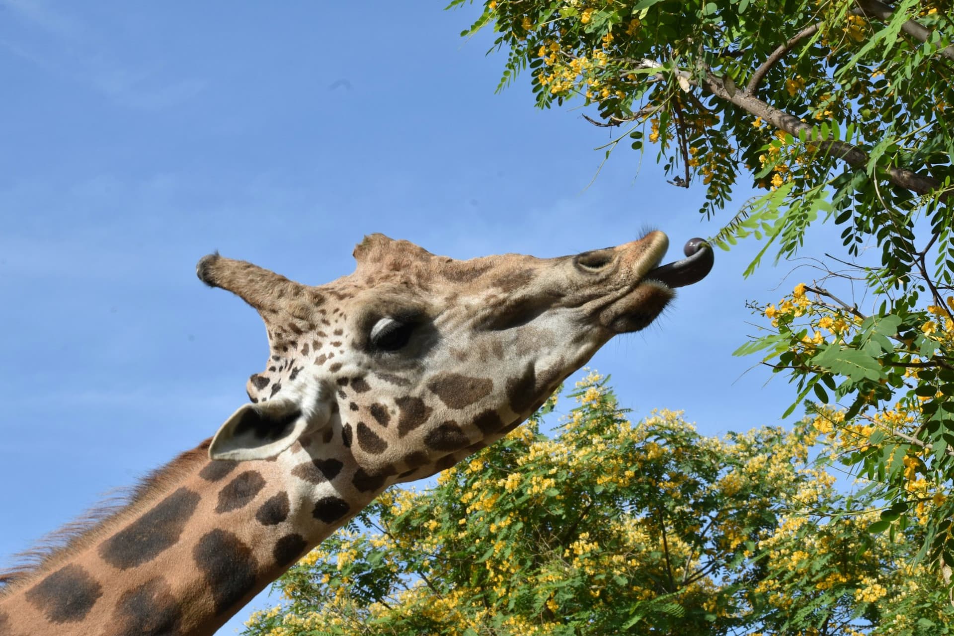 Terra Natura Murcia Ticket - تصویر 4