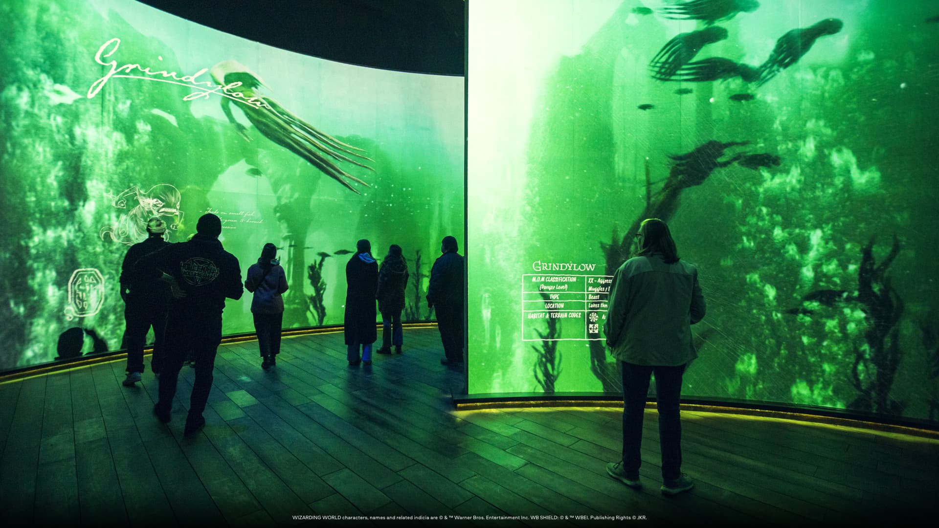 Harry Potter: Visions of Magic - تصویر 16