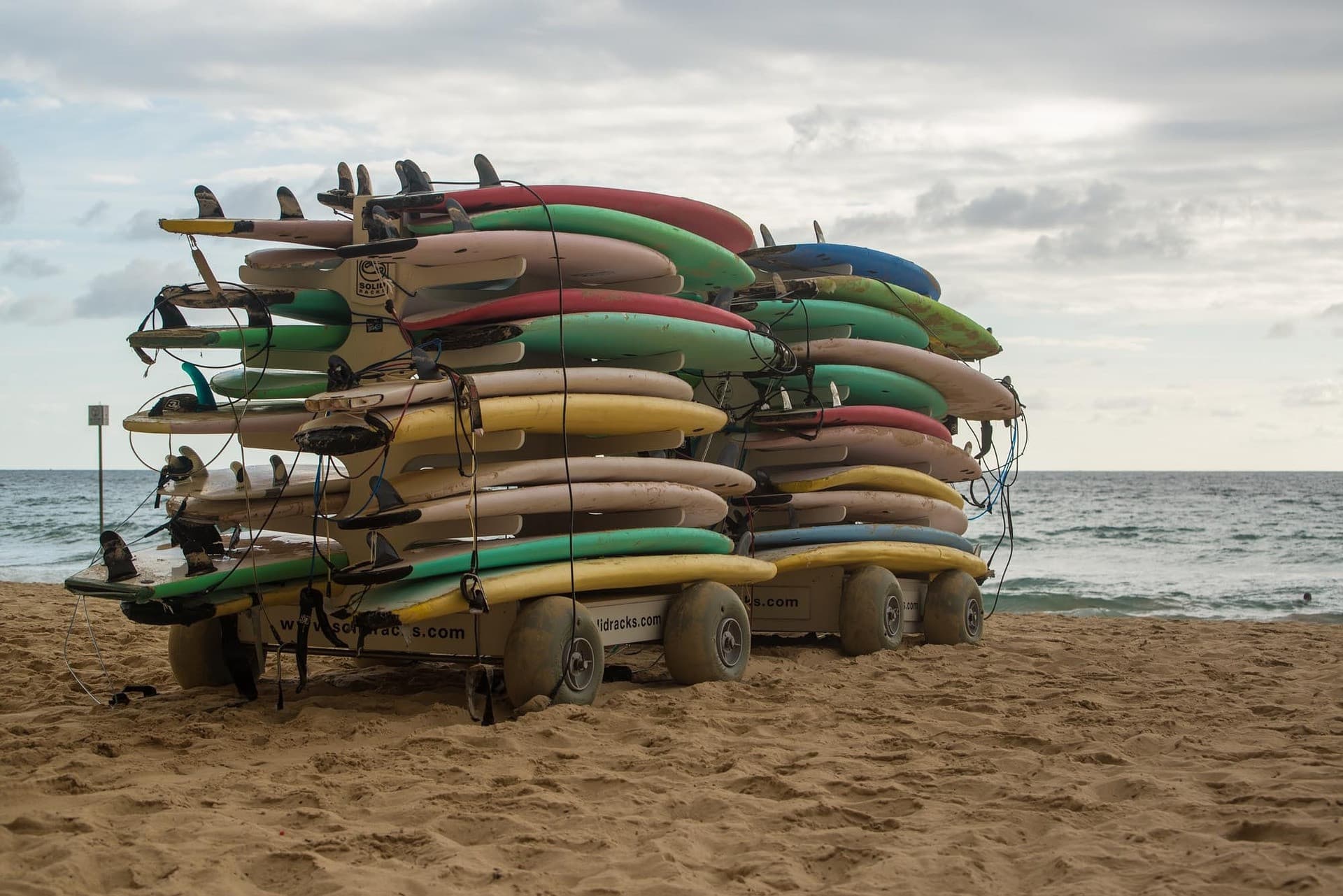 Manly Beach Cycling Tour with Sunset Cruise - تصویر 8