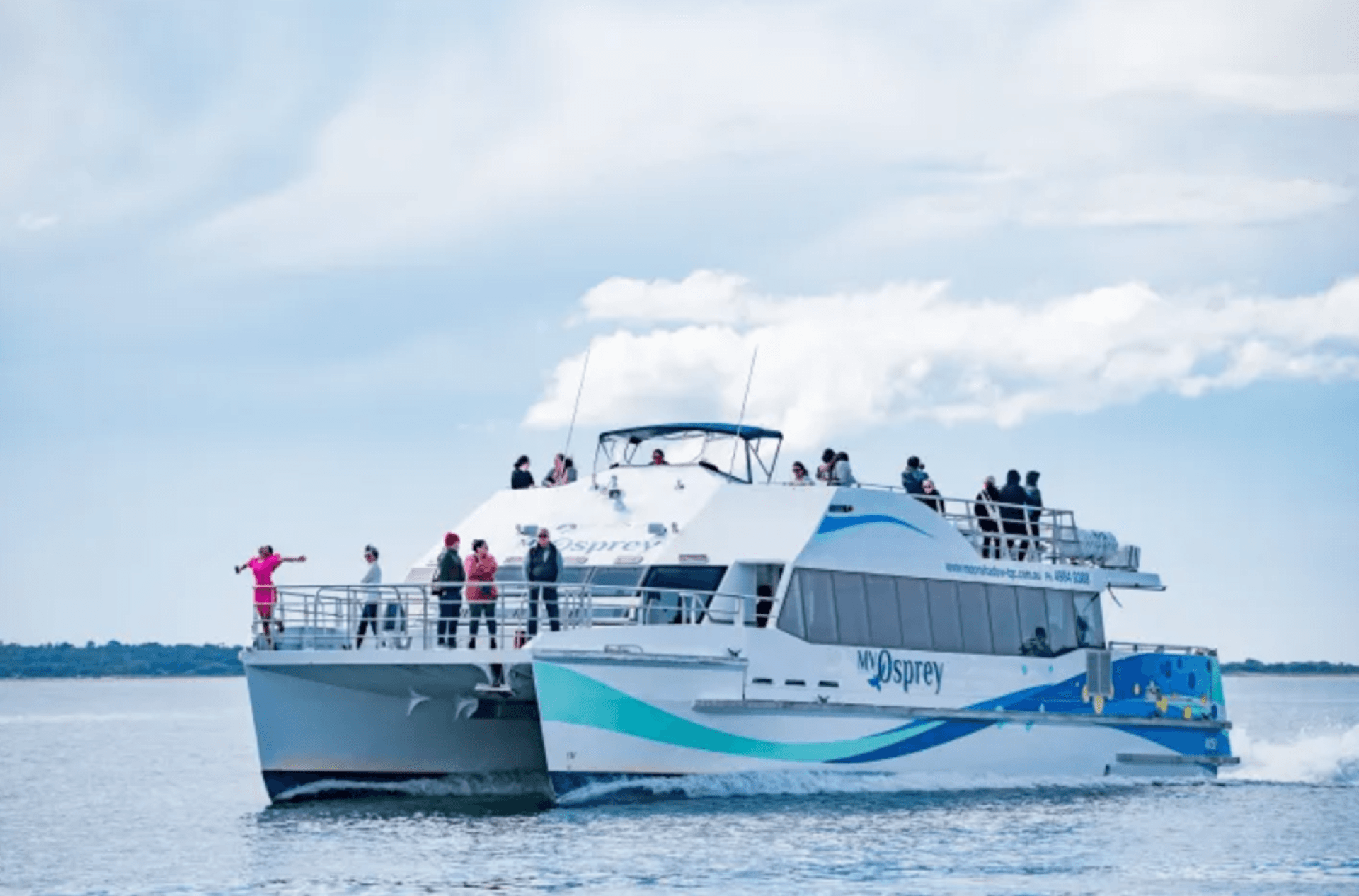 Port Stephens Dolphin Watch and Eco Adventure Cruise - تصویر اصلی