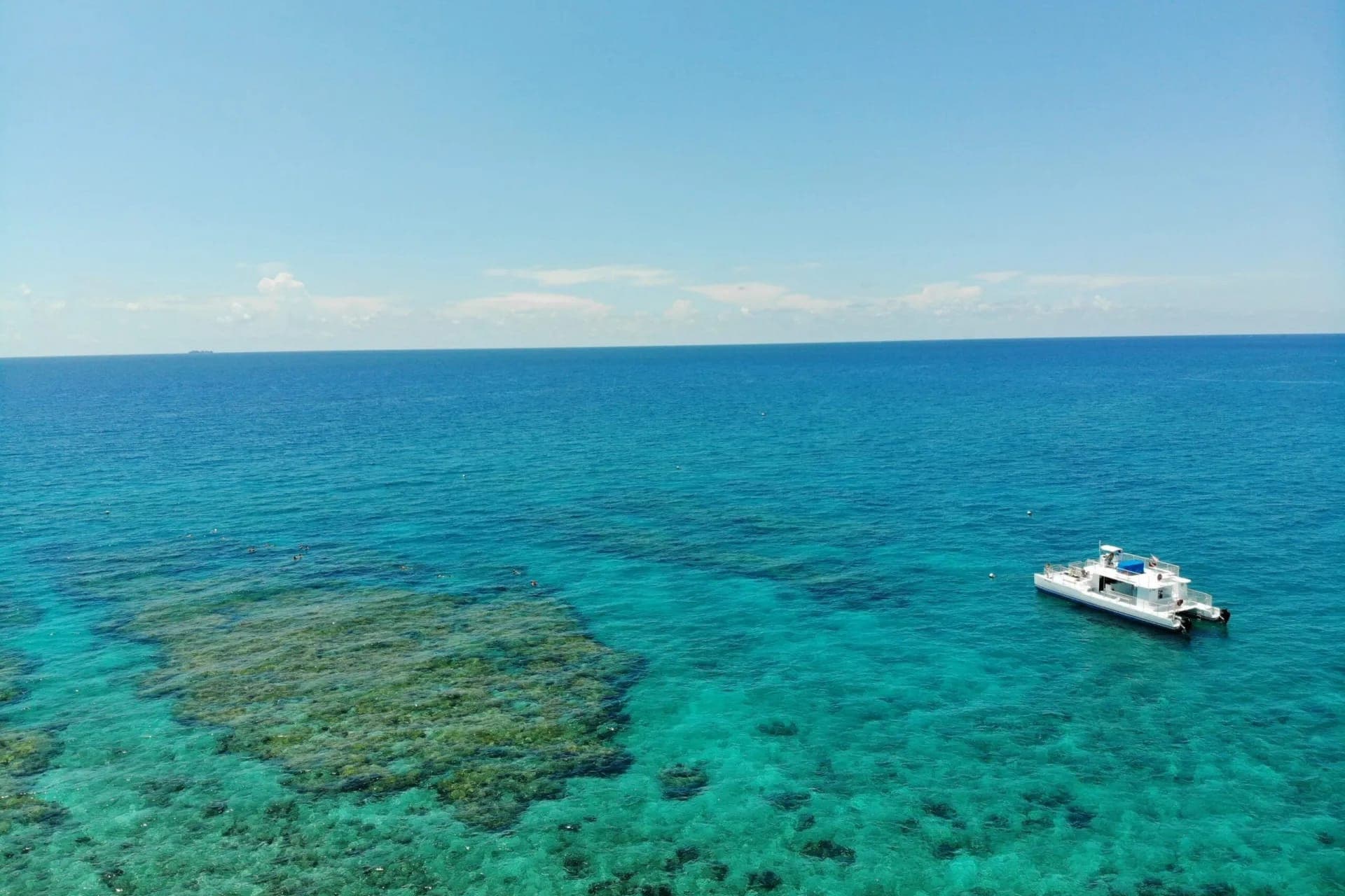 Key West: Dolphin Watching Cruise + Snorkeling + Drinks - تصویر 3