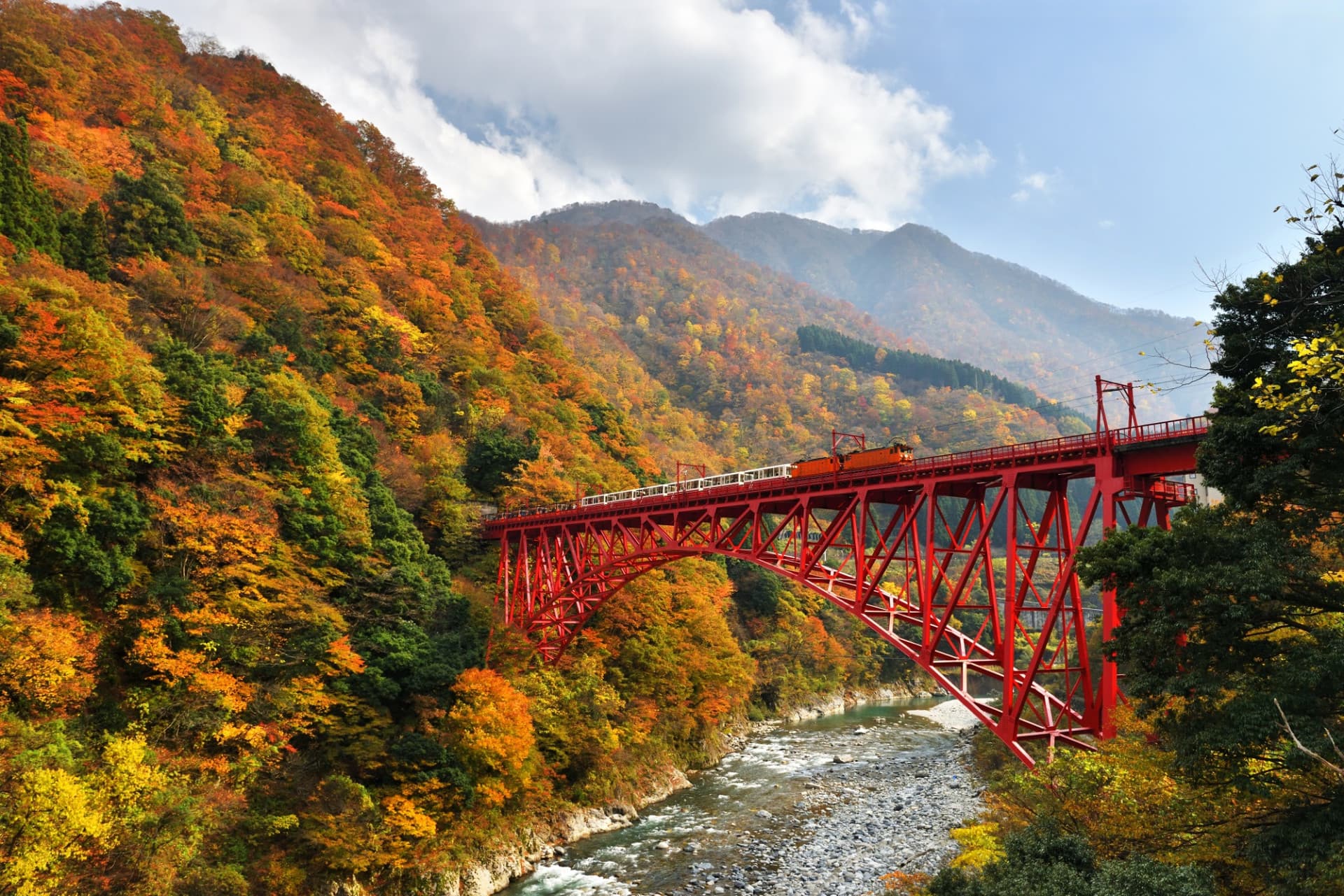Kurobe Gorge Railway Ticket - تصویر 2