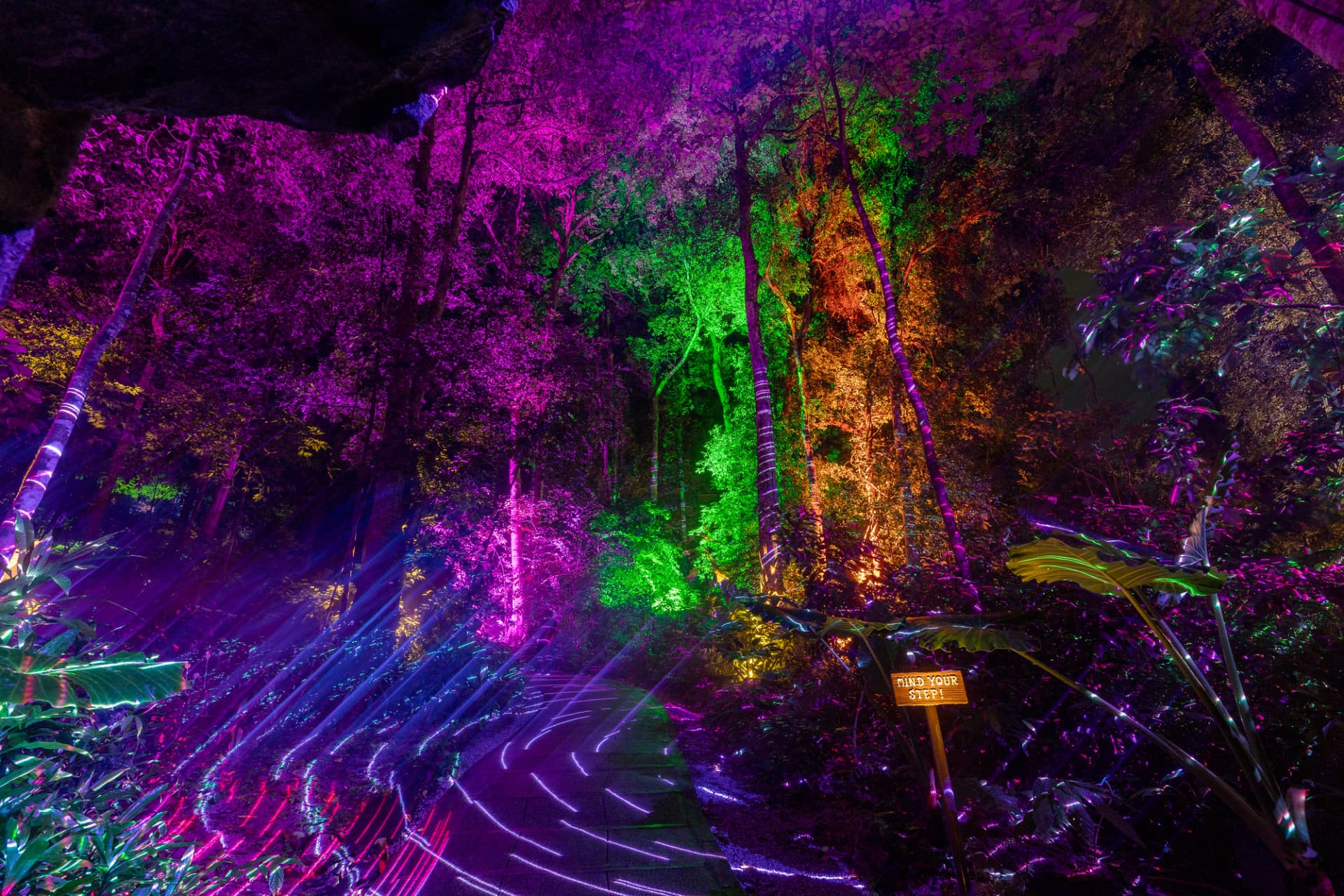 Dream Forest Langkawi - تصویر 2